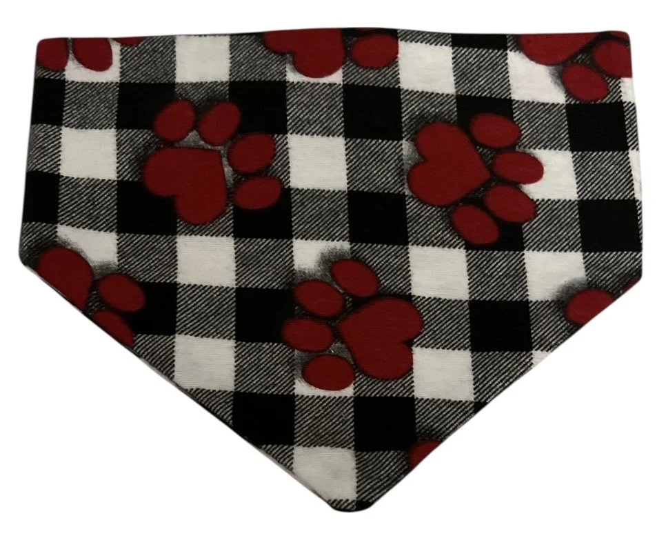 Photo Dec 09 2025, 10 28 23 PM.jpg