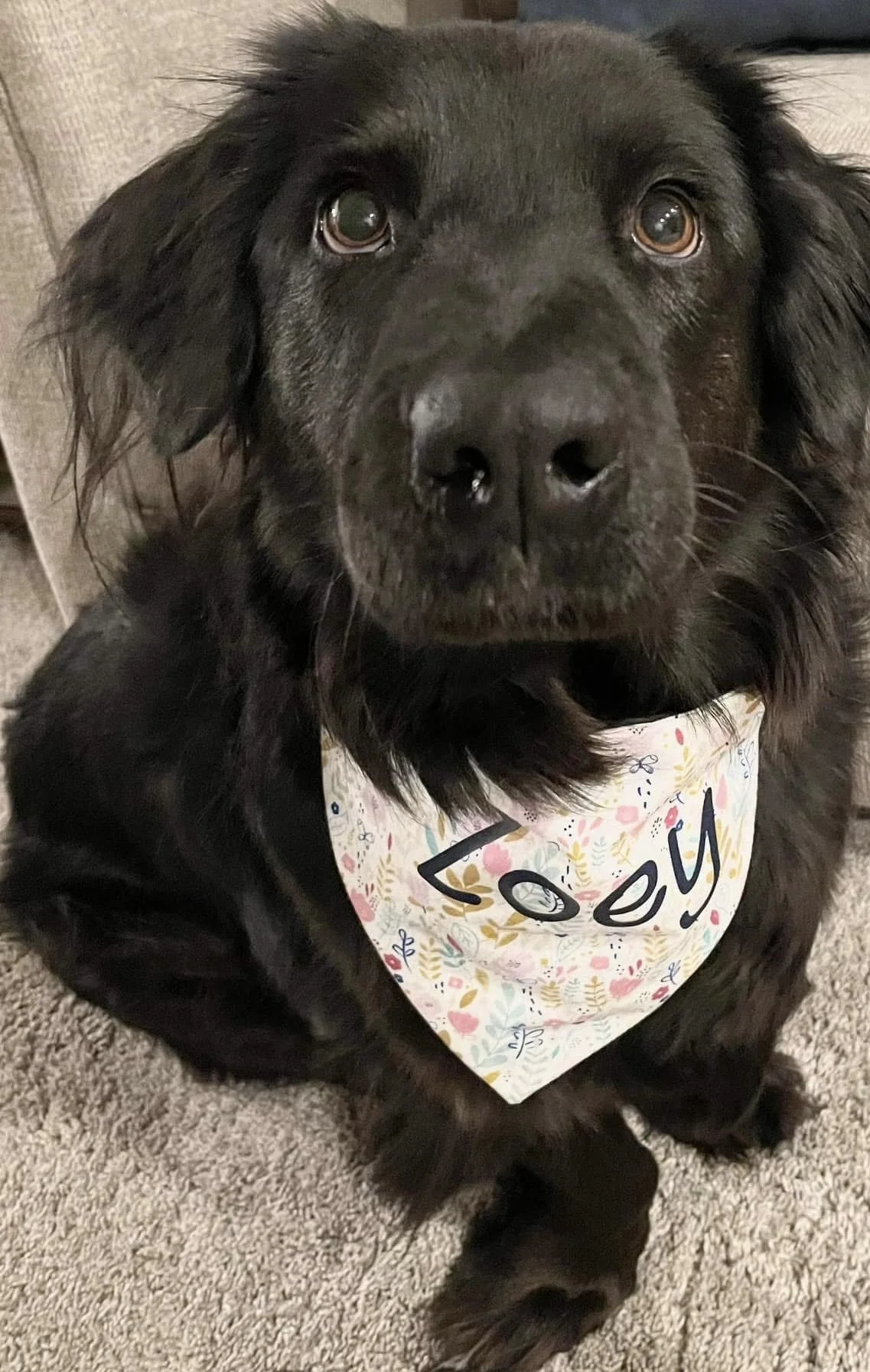 Photo Dec 07 2025, 9 05 43 PM (4).jpg