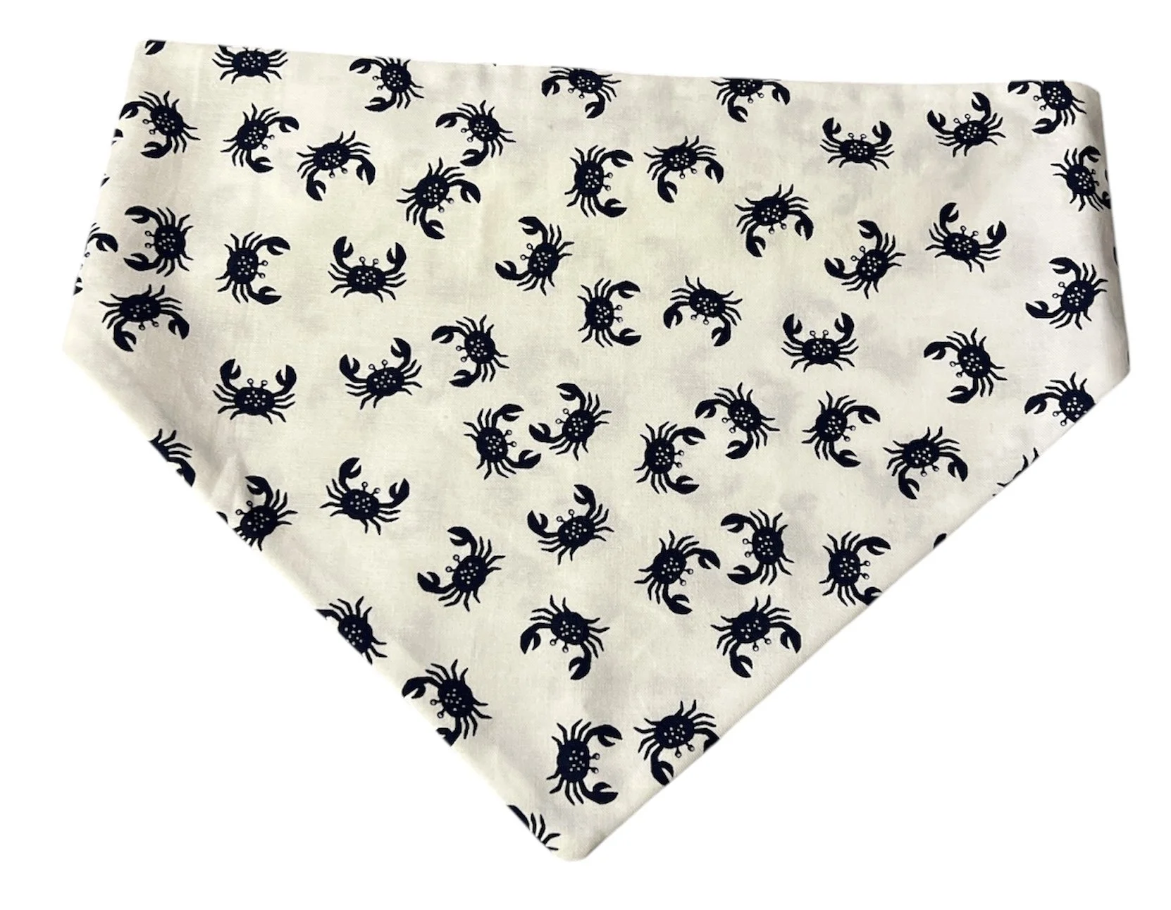 Photo Dec 02 2025, 7 43 30 PM (15).jpg