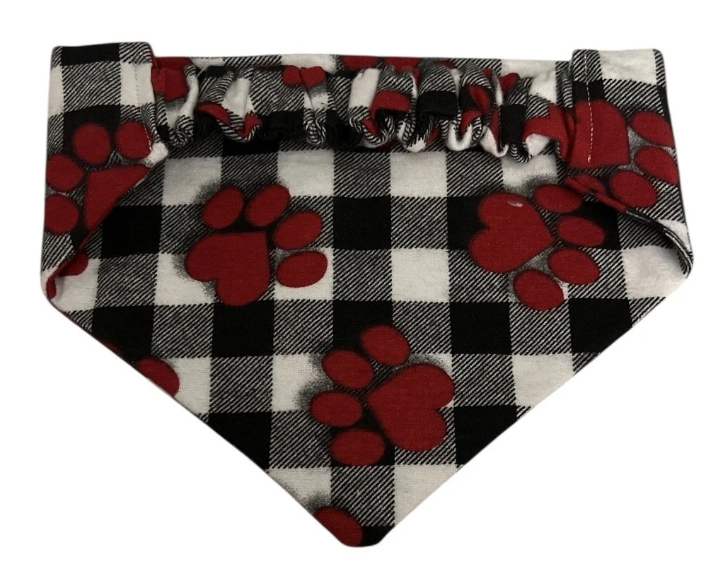 Photo Dec 09 2025, 10 29 53 PM.jpg