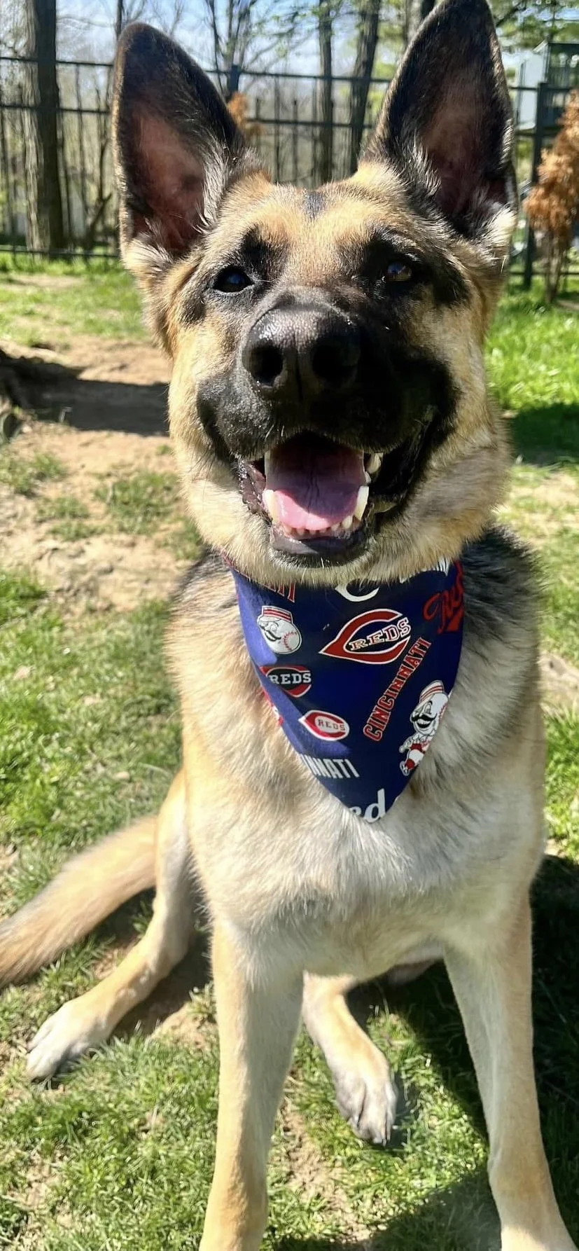 Photo Dec 08 2025, 4 47 44 PM (5).jpg