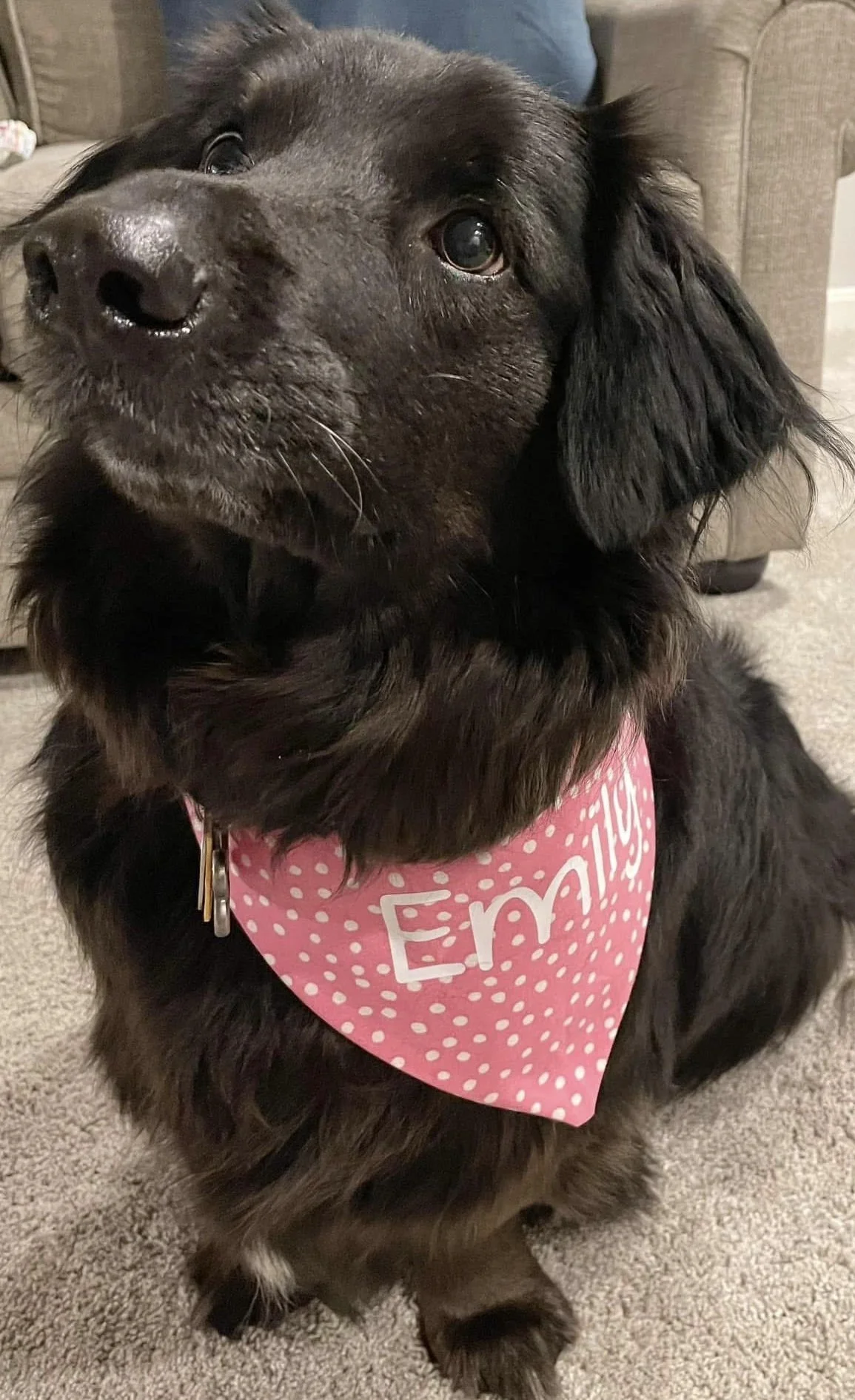 Photo Dec 07 2025, 9 05 43 PM (5).jpg