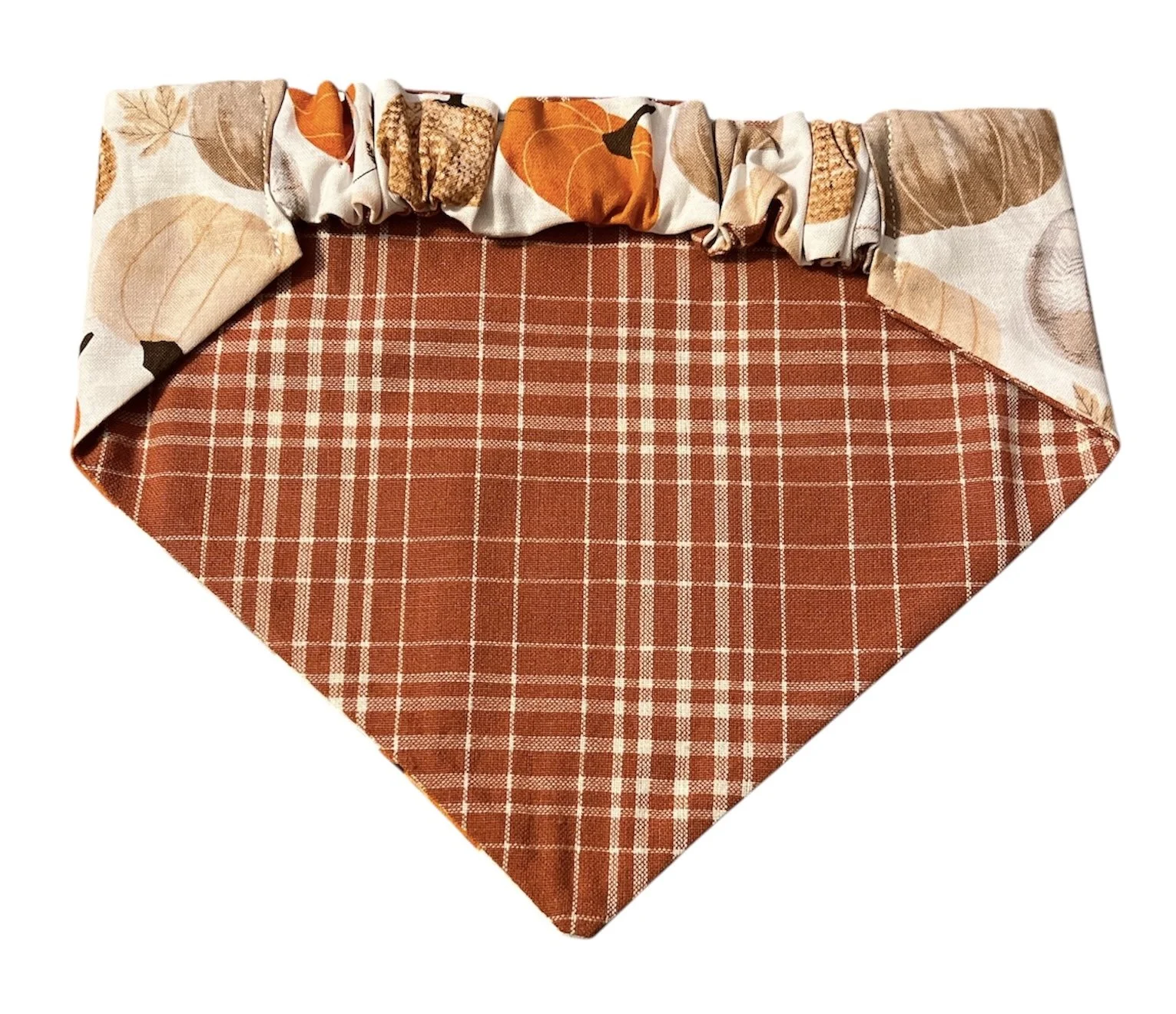 Photo Dec 02 2025, 7 43 30 PM (3).jpg