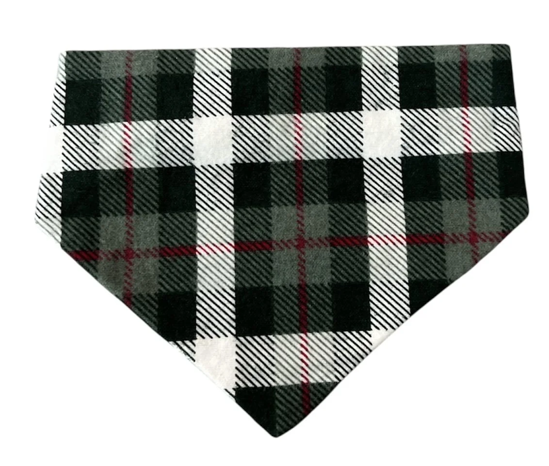 Photo Dec 03 2025, 1 35 40 PM (39) (1).jpg