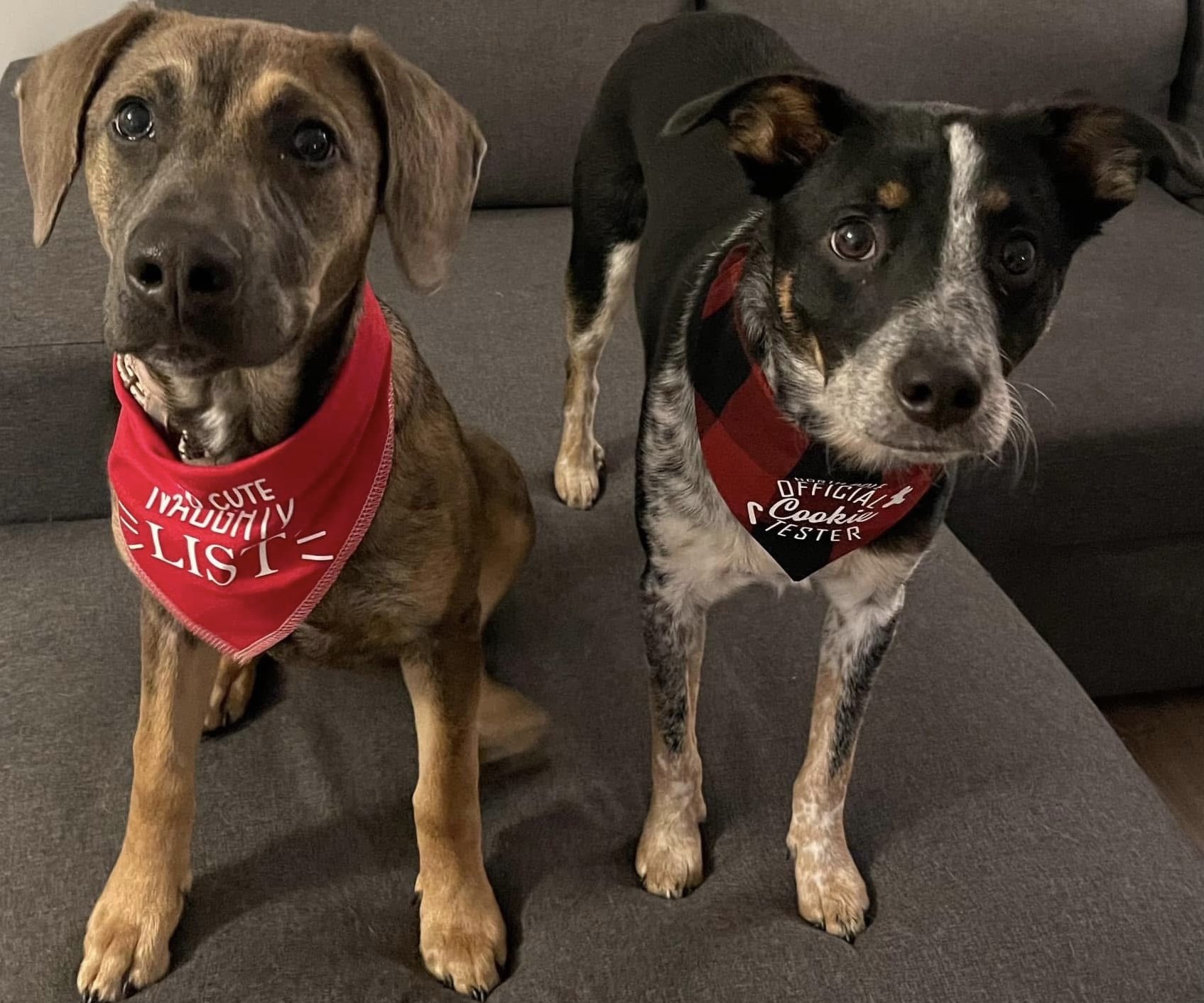 Photo Dec 07 2025, 8 42 43 PM (9).jpg