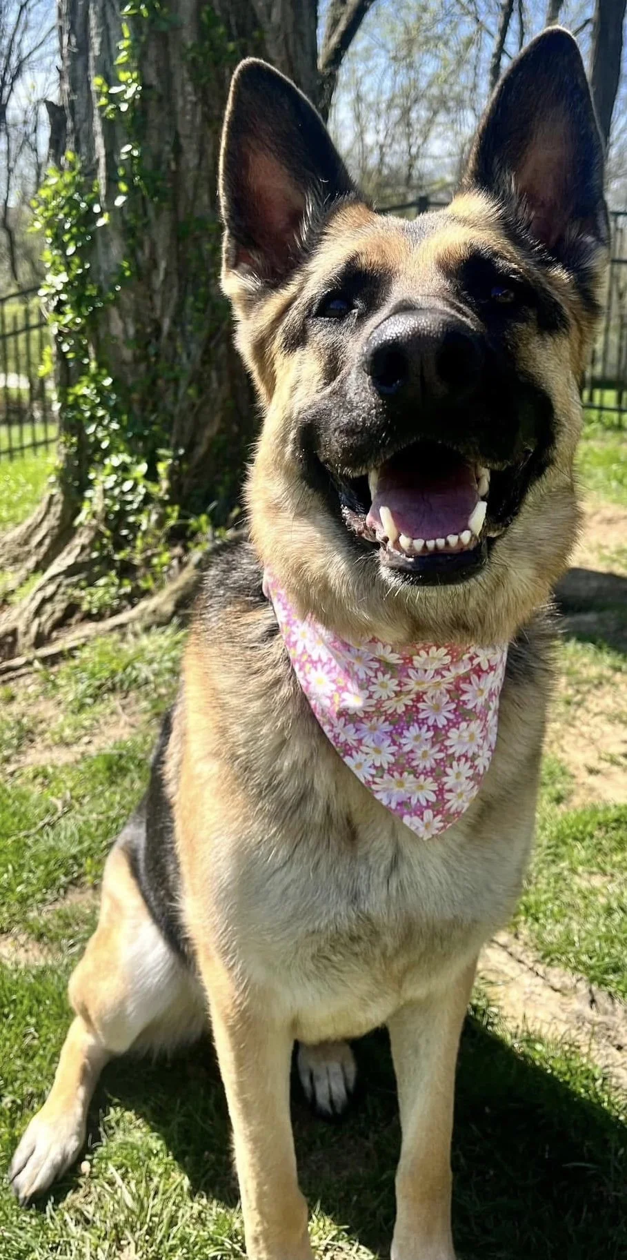 Photo Dec 07 2025, 9 00 38 PM (2).jpg