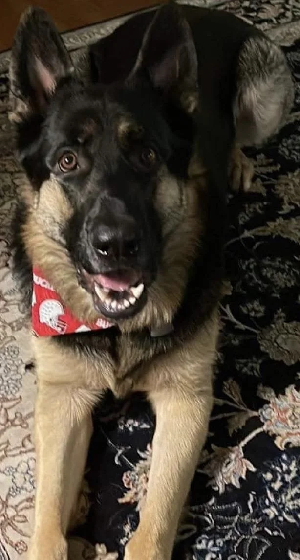 Photo Dec 07 2025, 8 42 43 PM (13).jpg