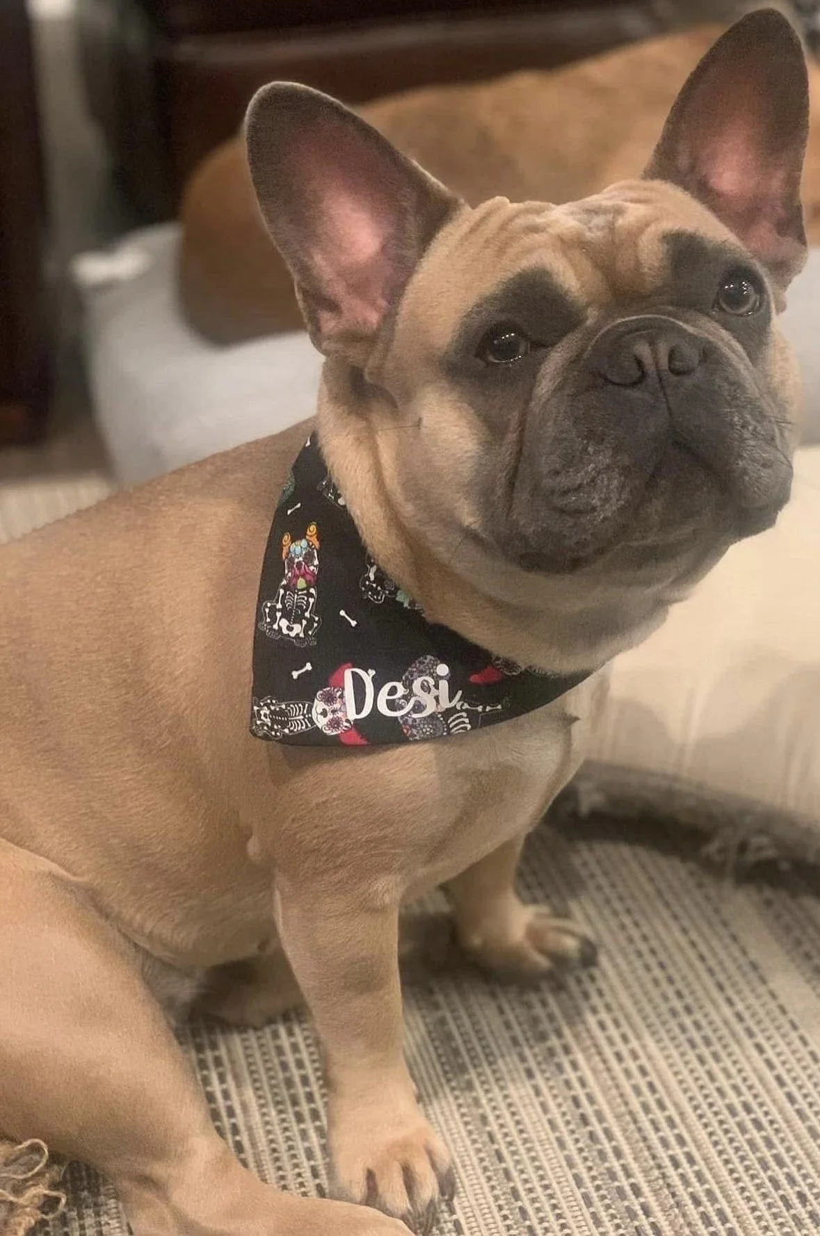 Photo Dec 07 2025, 8 42 43 PM (1).jpg