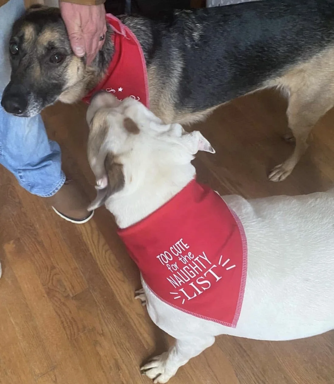 Photo Dec 07 2025, 9 11 30 PM.jpg