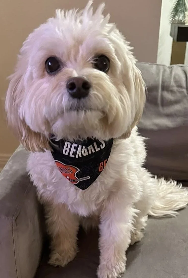 Photo Dec 07 2025, 9 16 22 PM (1).jpg