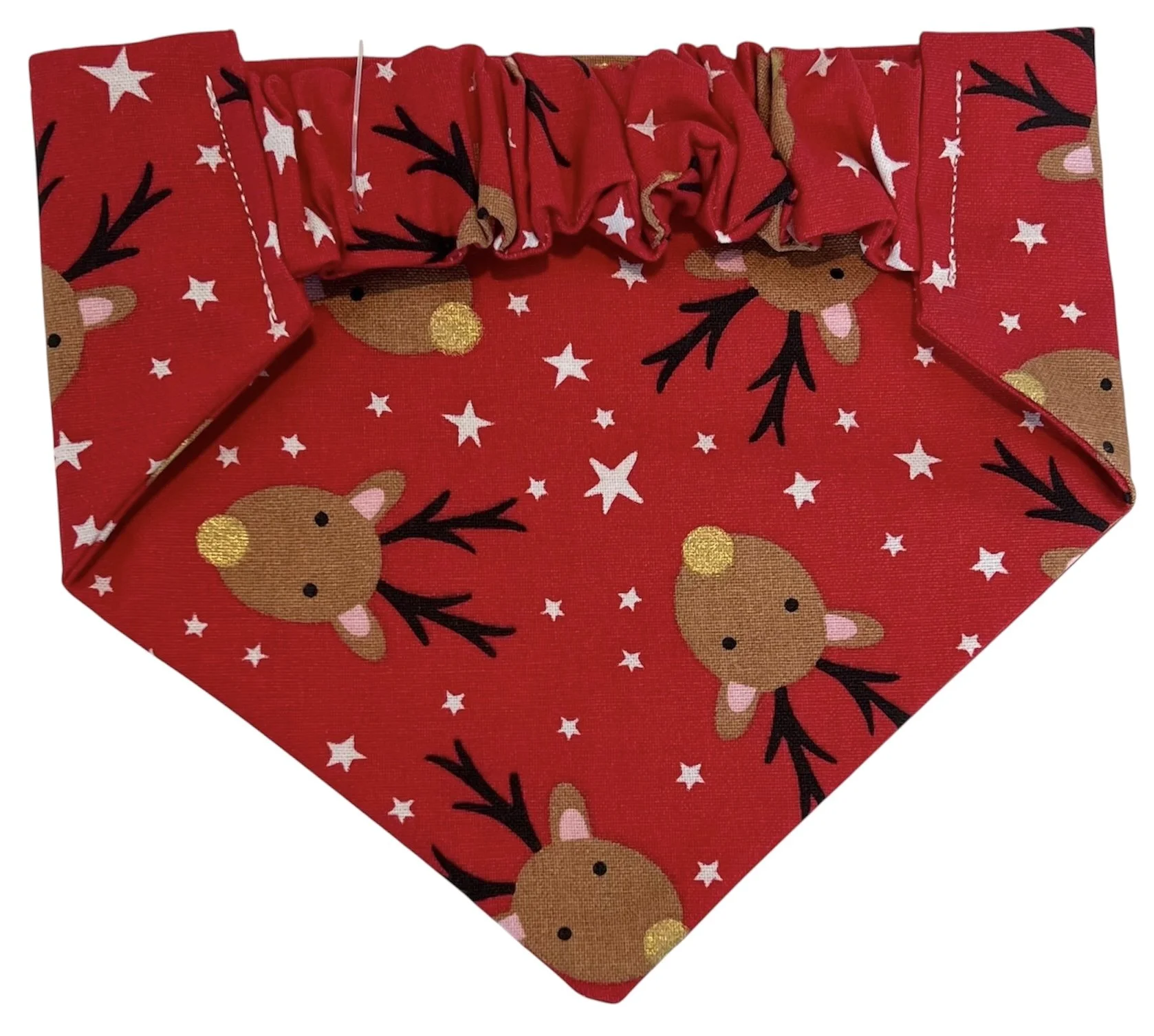 Red Reindeer Back (2).JPG