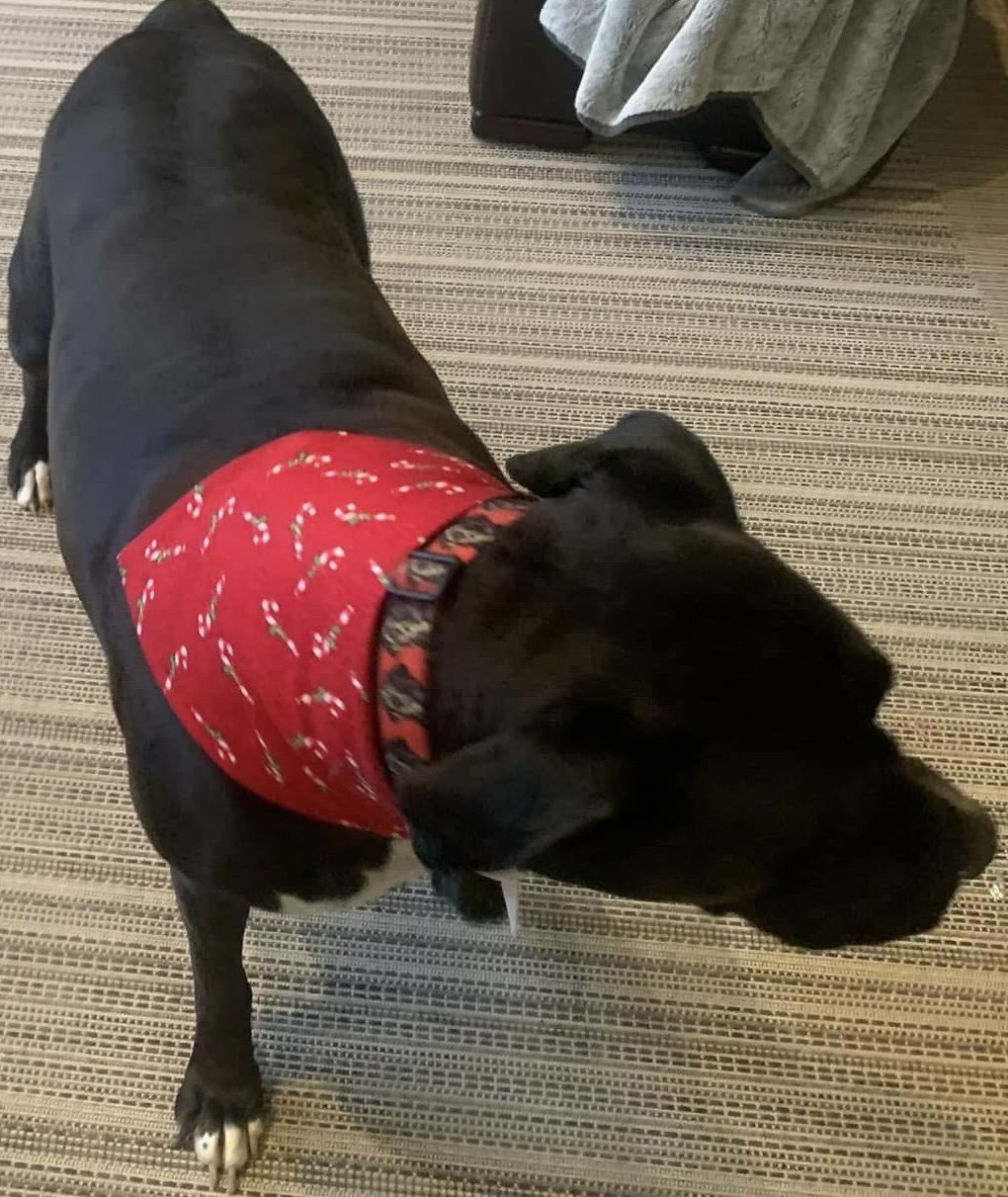 Photo Dec 07 2025, 8 42 43 PM (16).jpg