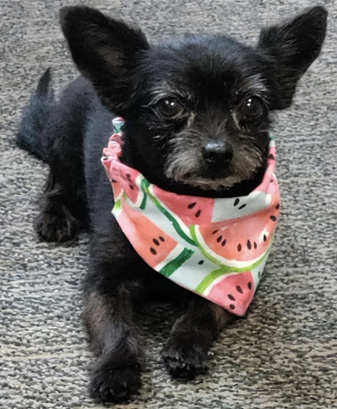 Photo Dec 07 2025, 8 55 31 PM (6).jpg