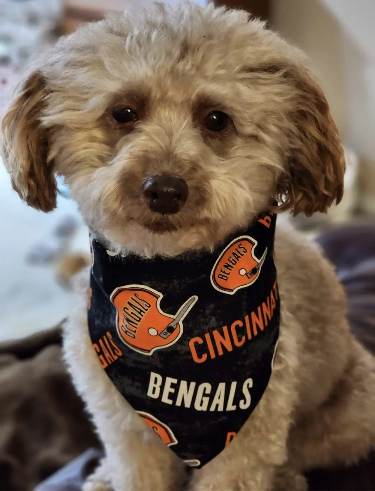 Photo Dec 08 2025, 4 47 44 PM.jpg