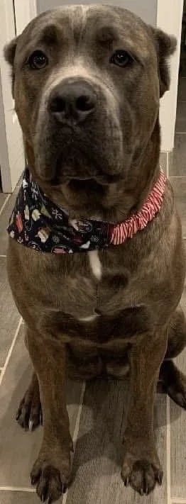 Photo Dec 07 2025, 8 42 43 PM (14).jpg