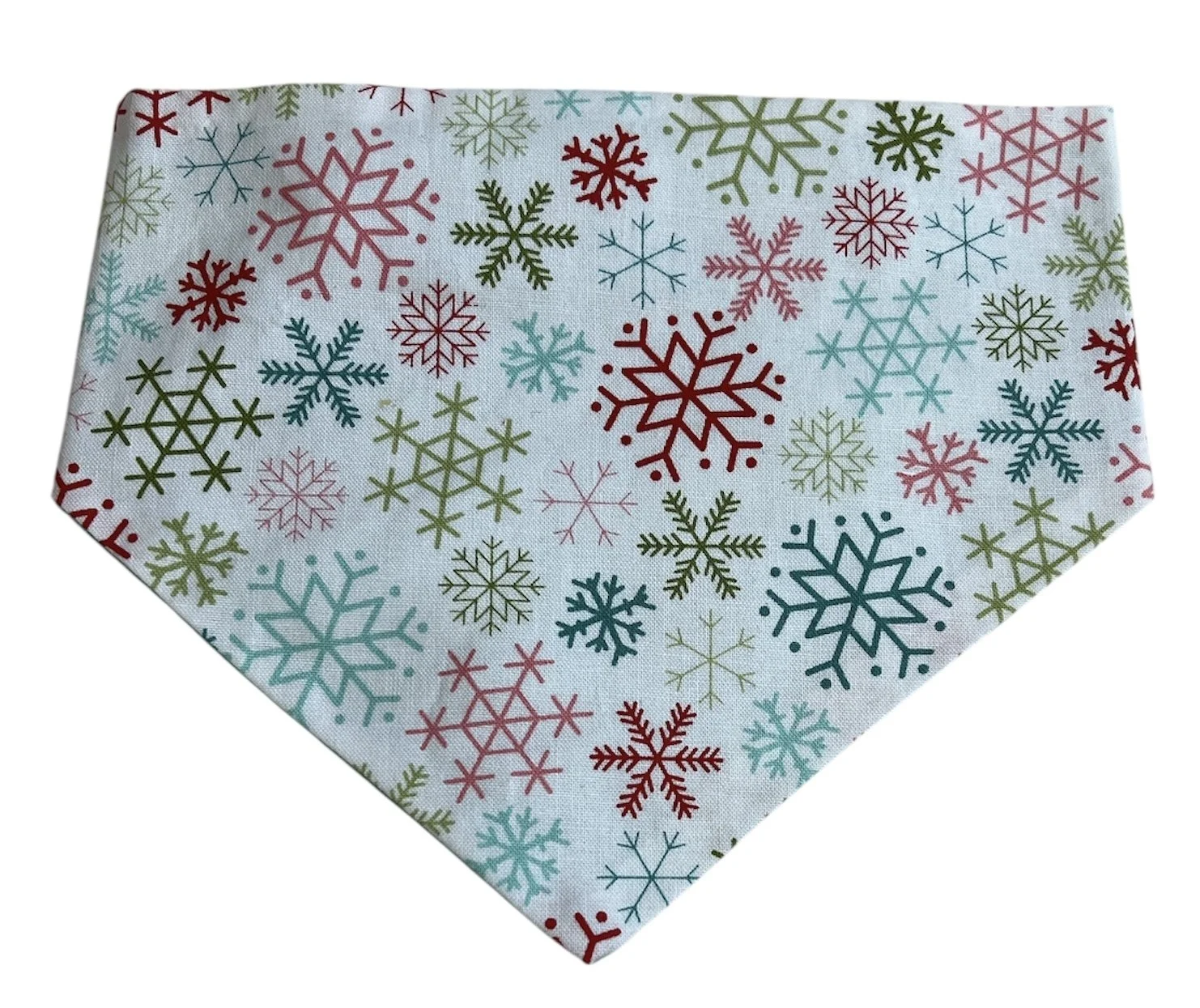 Colored Snowflakes Front.JPG