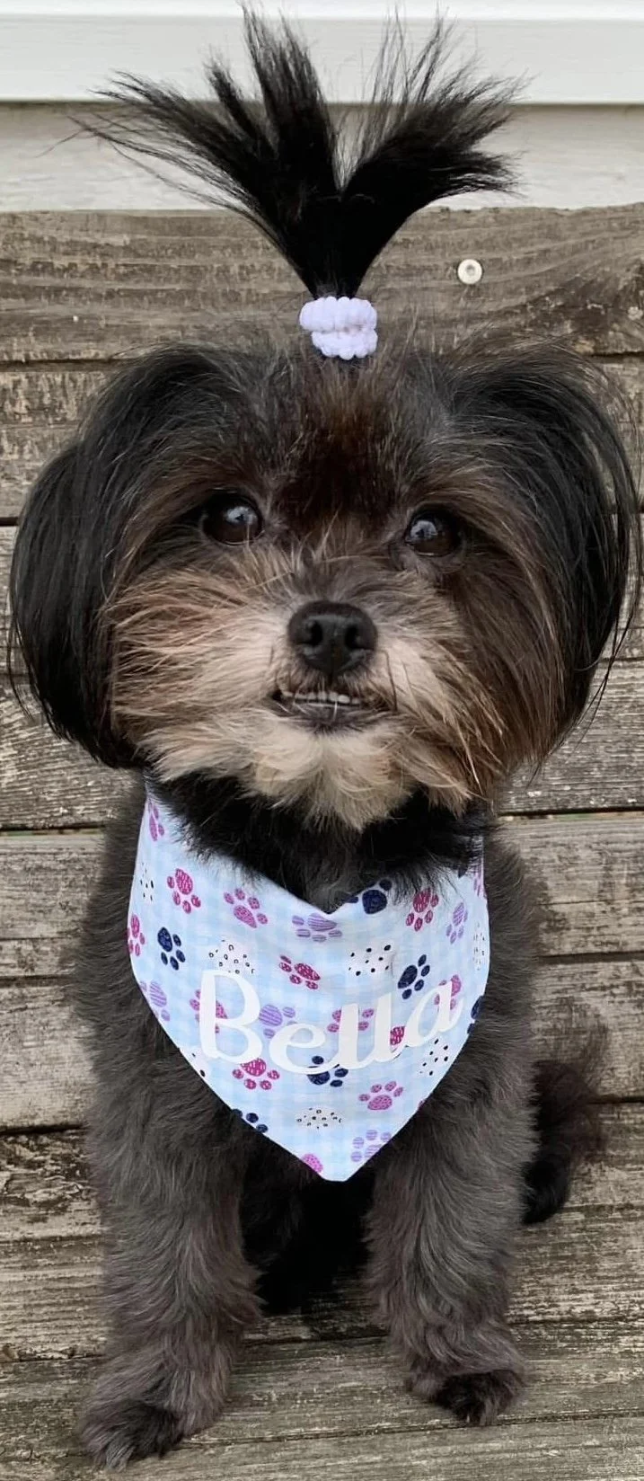 Photo Dec 08 2025, 4 47 44 PM (2).jpg