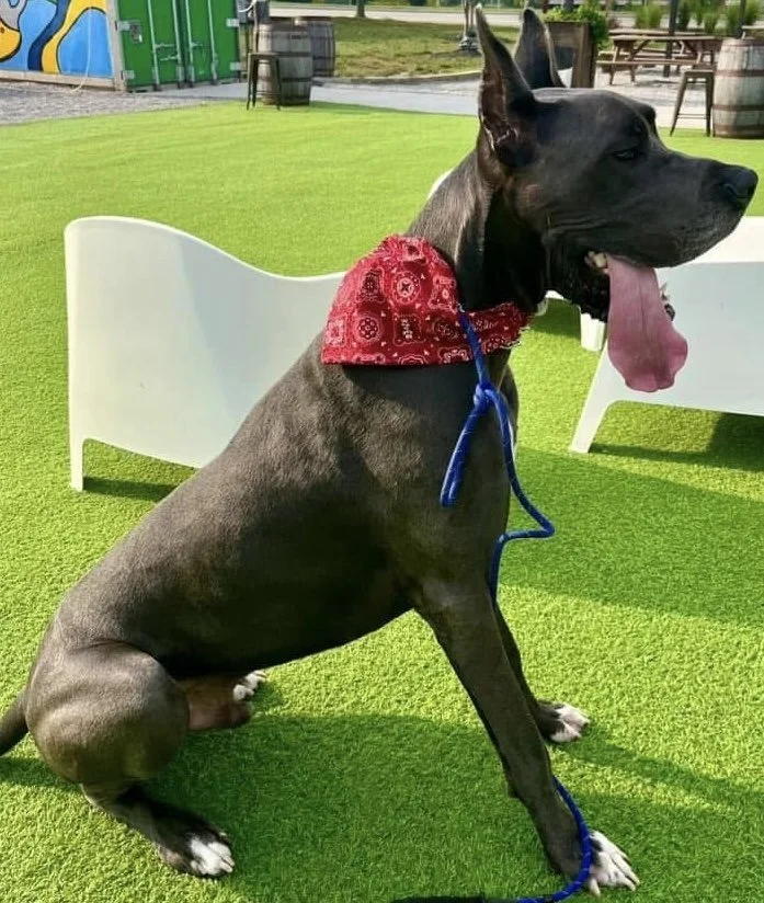 Photo Dec 07 2025, 8 55 31 PM (4).jpg