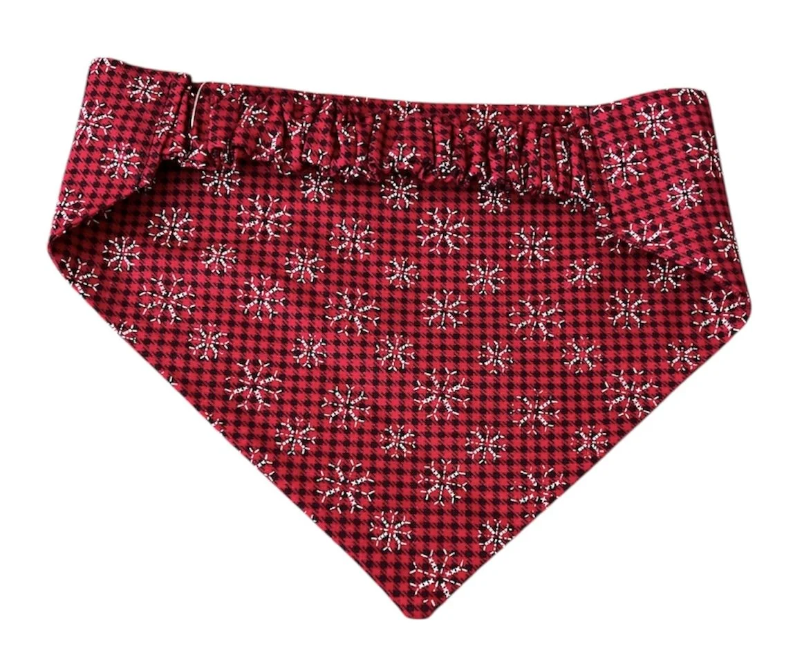 Photo Dec 03 2025, 1 35 40 PM (8).jpg