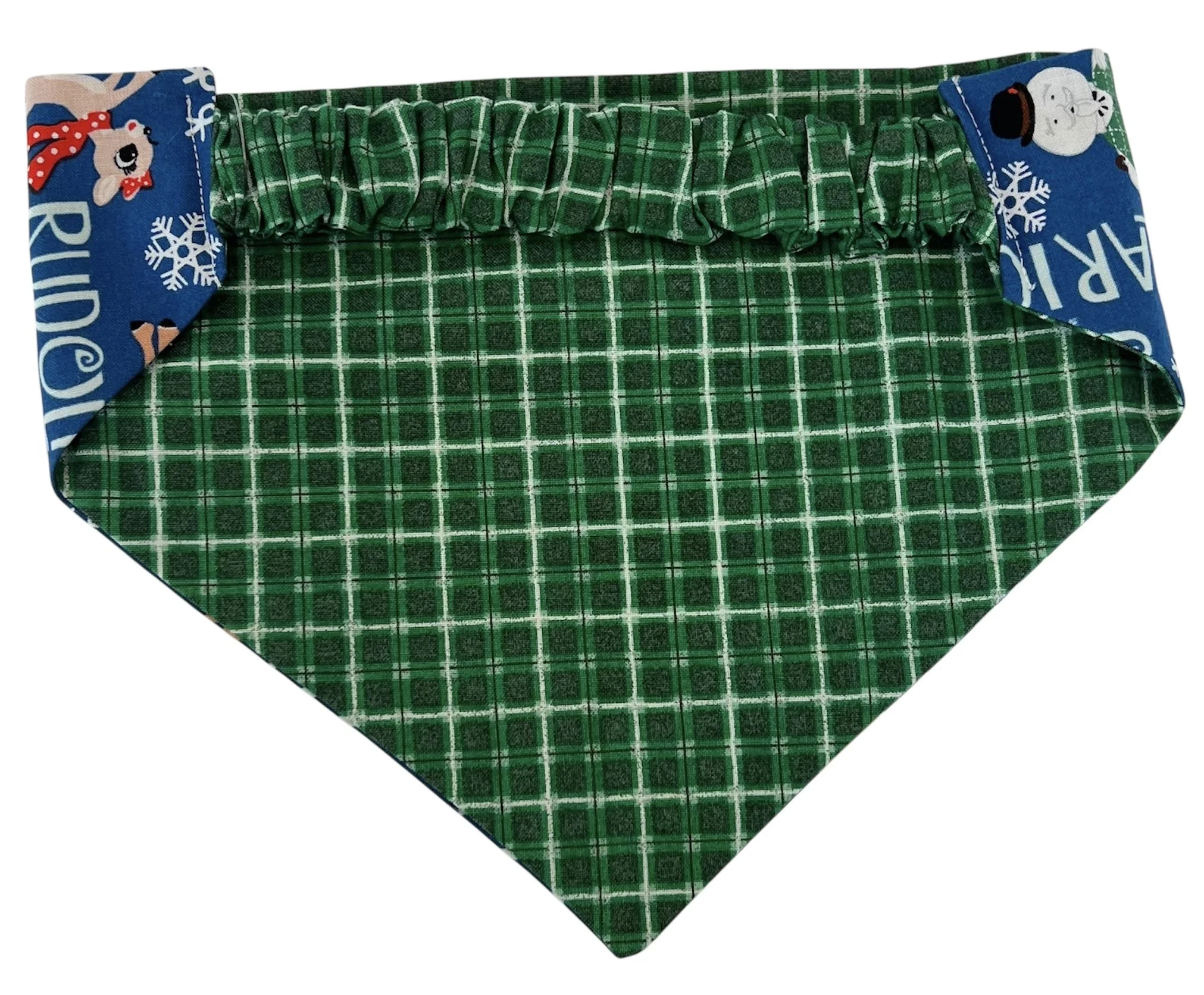 Ruldoph Reversible Back.JPG