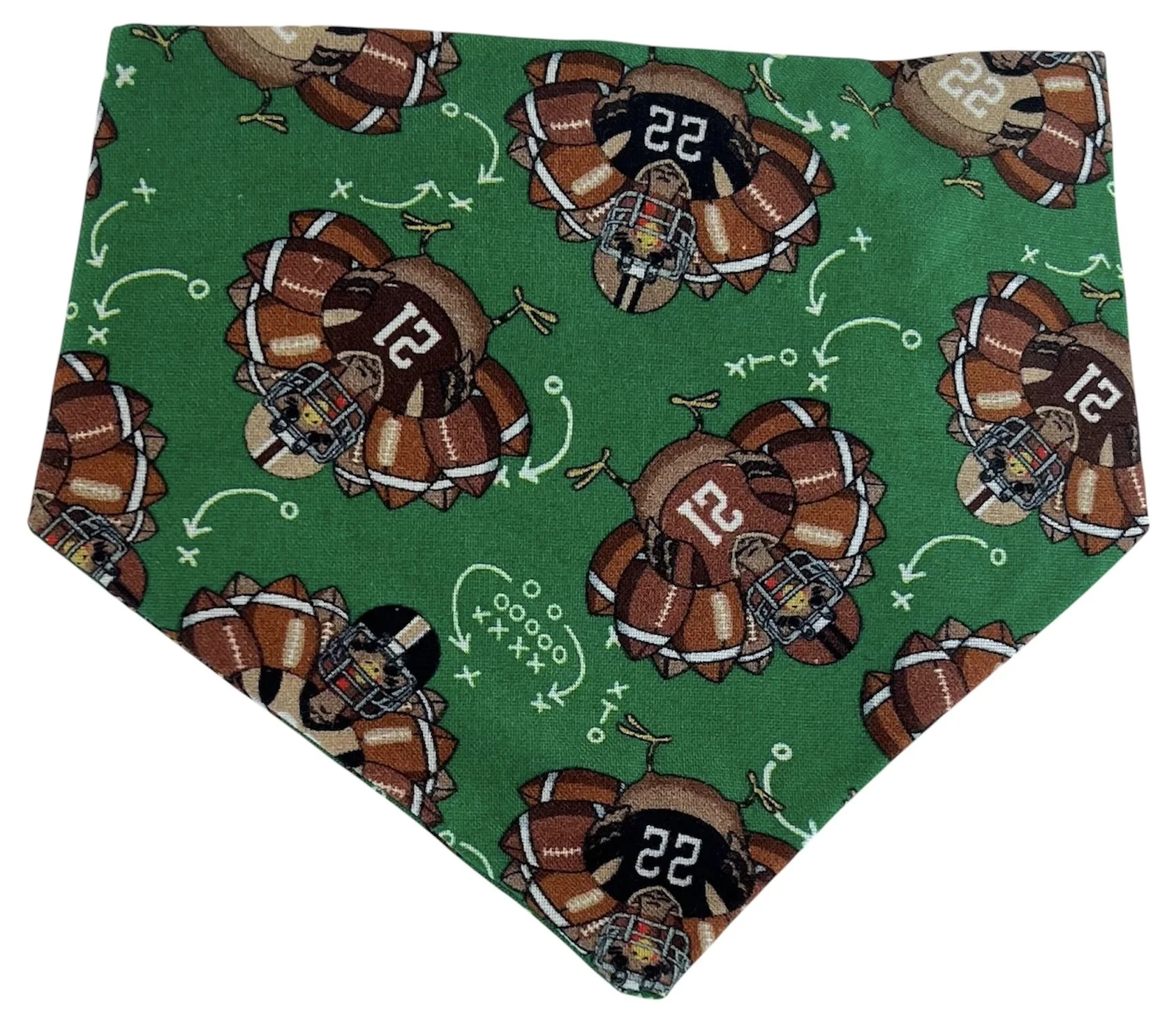 Football Turkeys.JPG