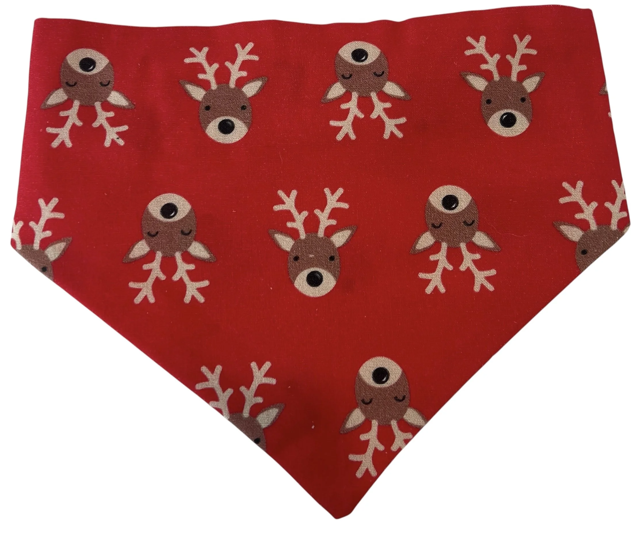 Bright Red Reindeer.JPG