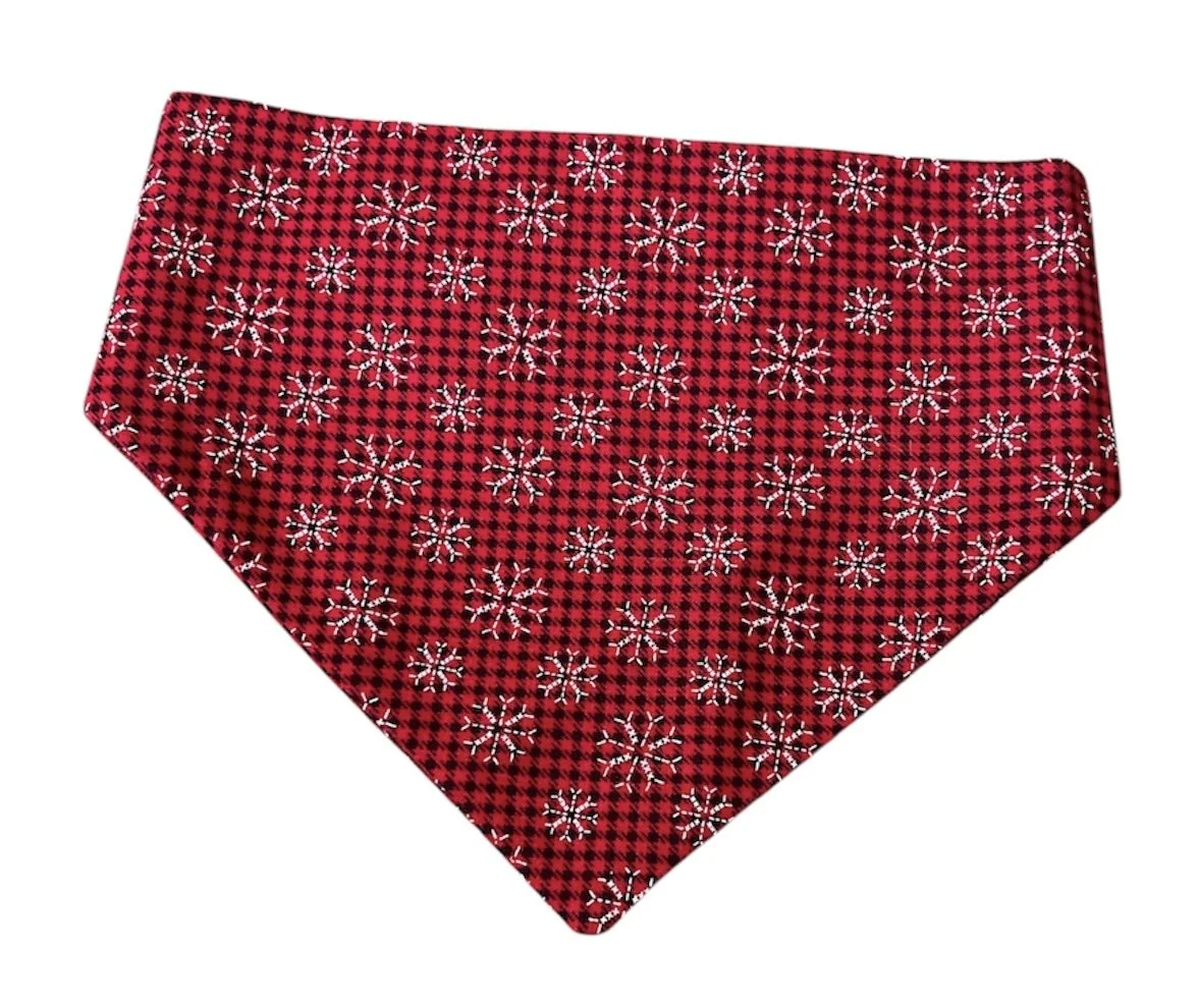 Photo Dec 03 2025, 1 35 40 PM (7).jpg