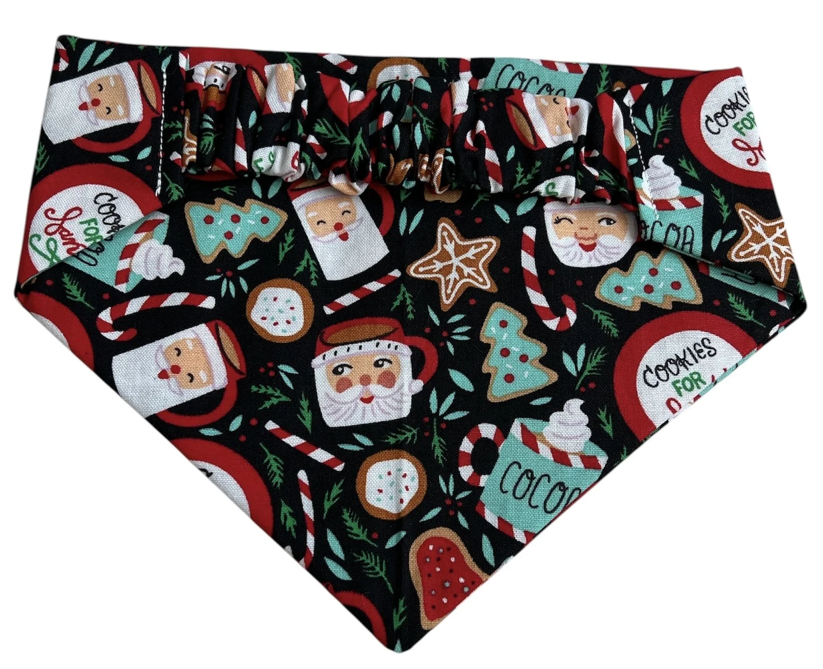 Cookies for Santa Back (2).JPG