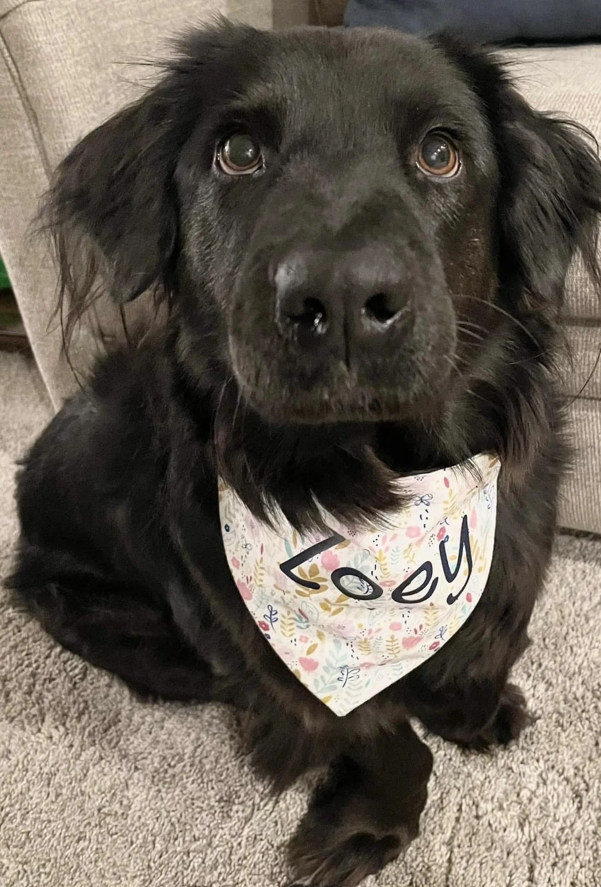 Photo Dec 07 2025, 8 46 24 PM (2).jpg