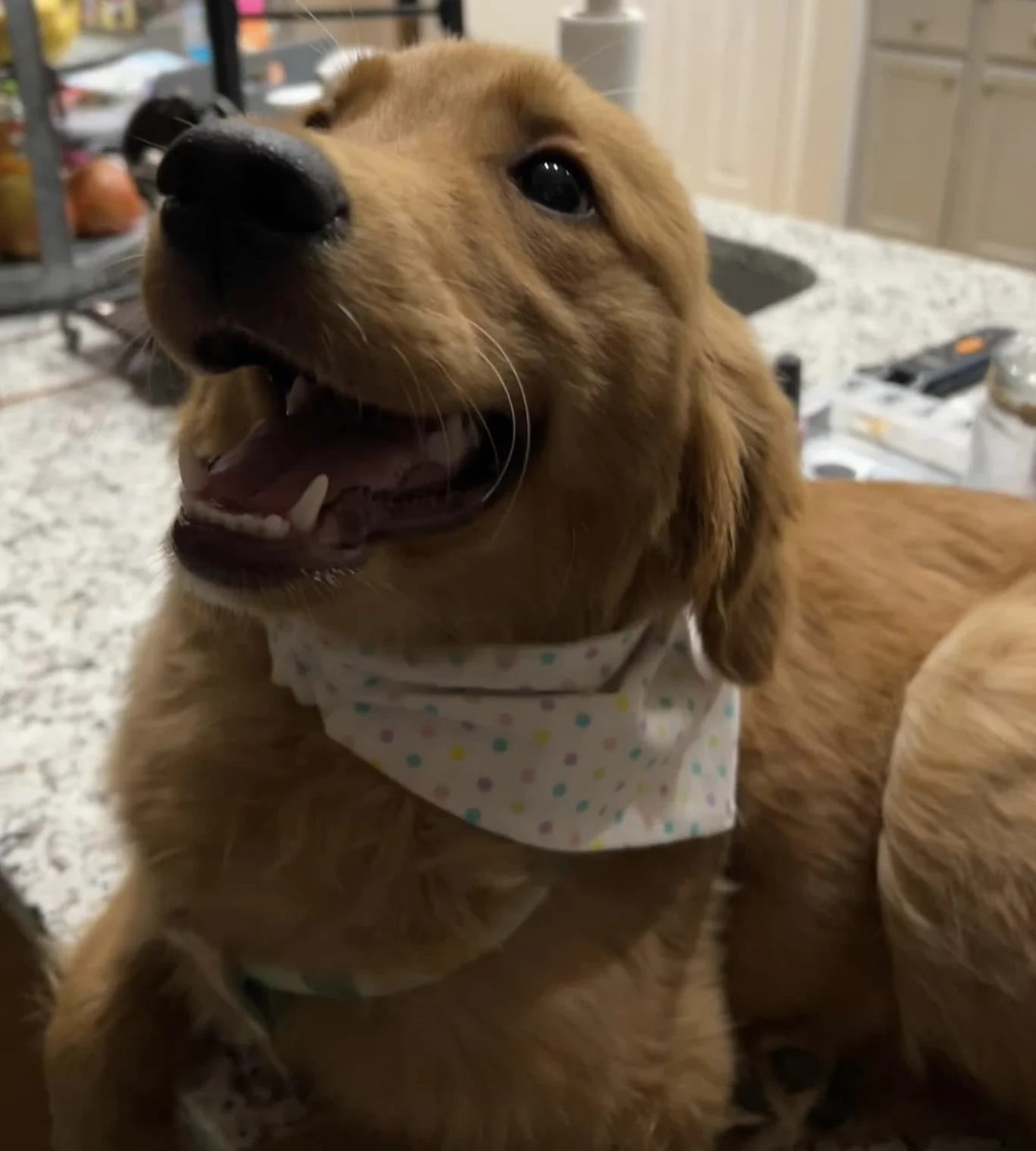 Photo Dec 07 2025, 9 05 43 PM (9).jpg