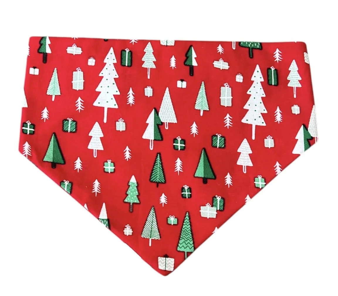 Photo Dec 03 2025, 1 35 40 PM (9).jpg