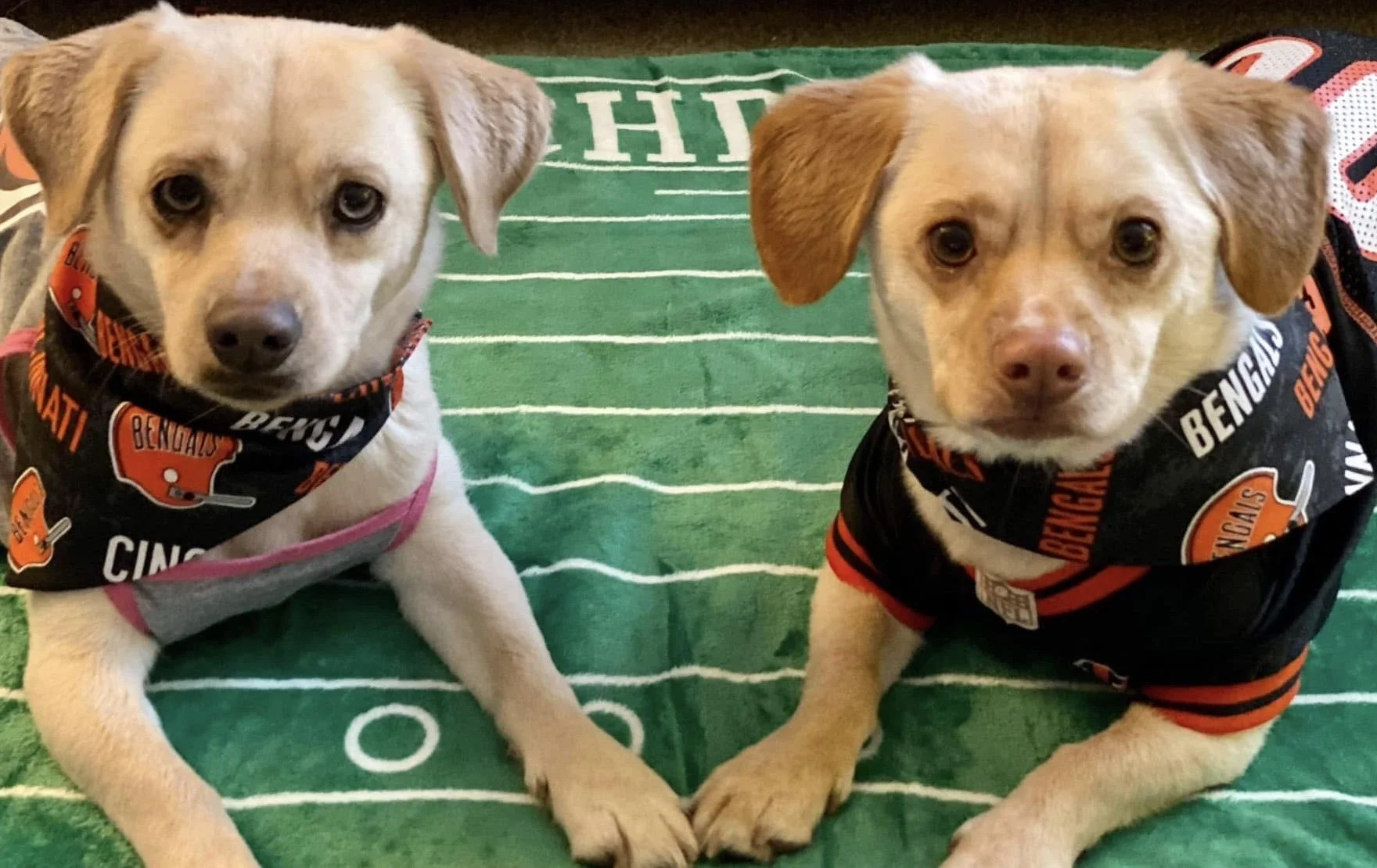 Photo Dec 07 2025, 9 05 43 PM.jpg