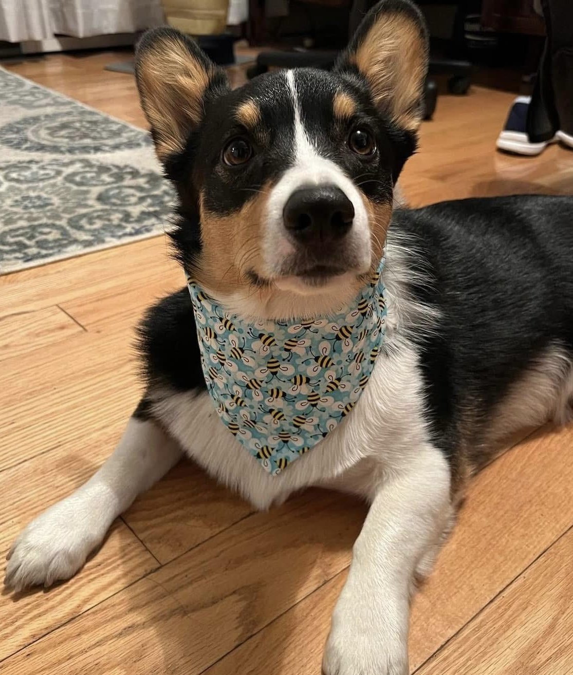 Photo Dec 07 2025, 9 00 38 PM (6).jpg