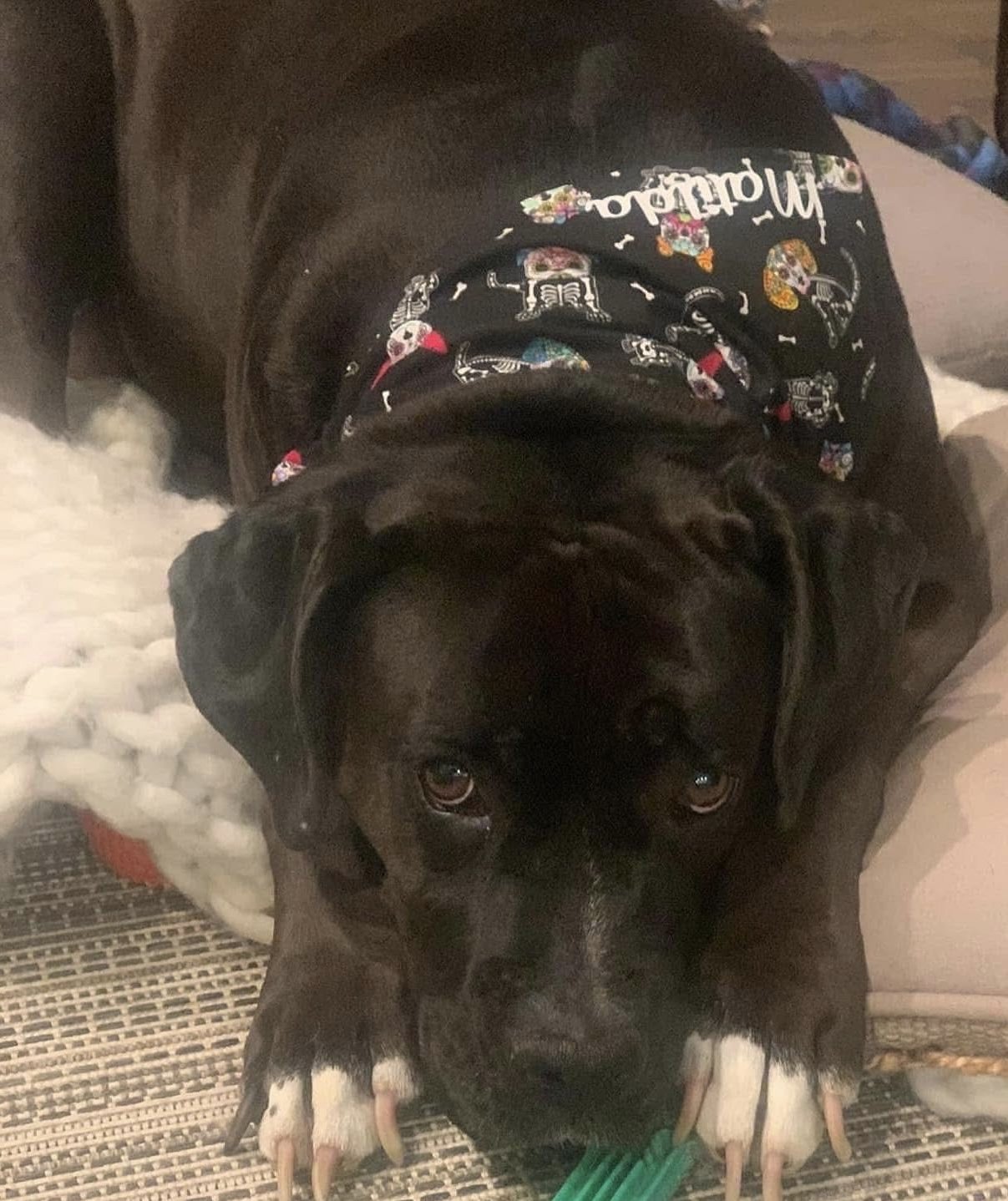 Photo Dec 07 2025, 8 42 43 PM.jpg