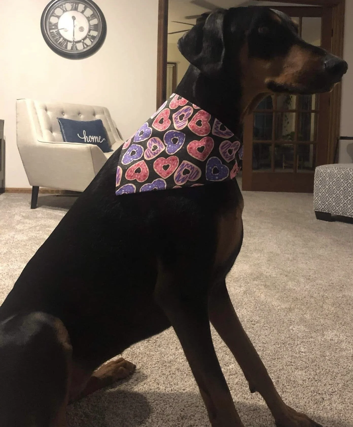 Photo Dec 07 2025, 9 21 47 PM (3).jpg