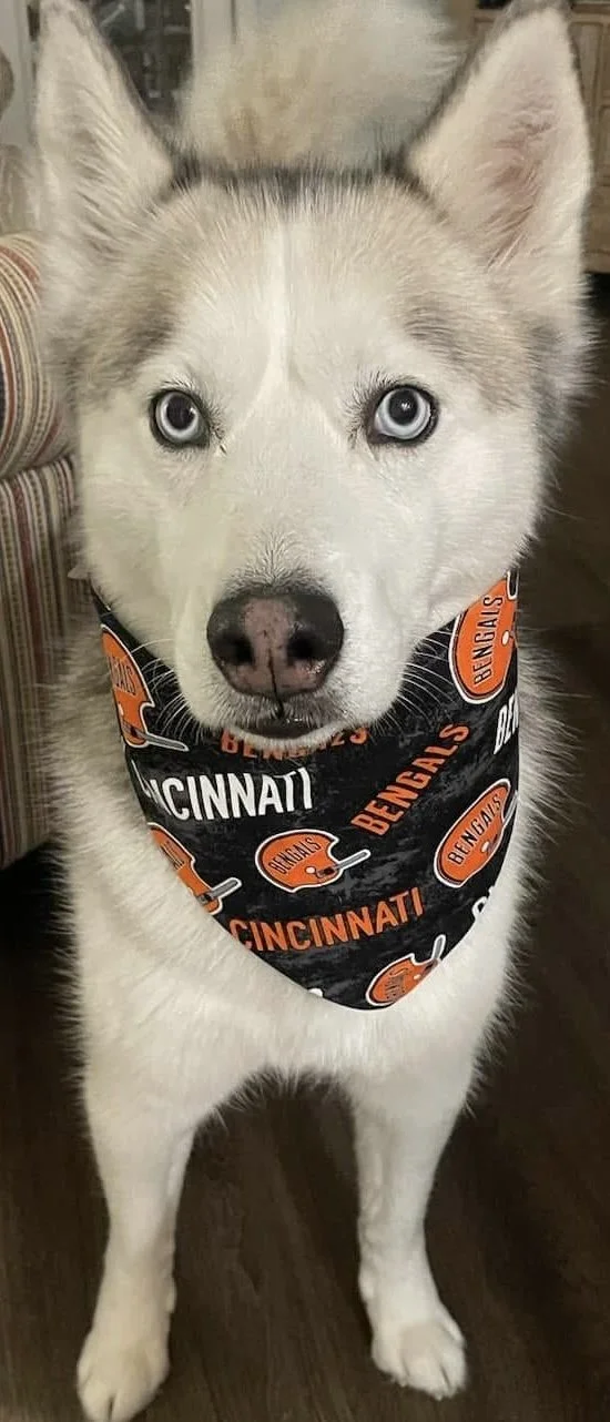 Photo Dec 07 2025, 9 21 47 PM (1).jpg