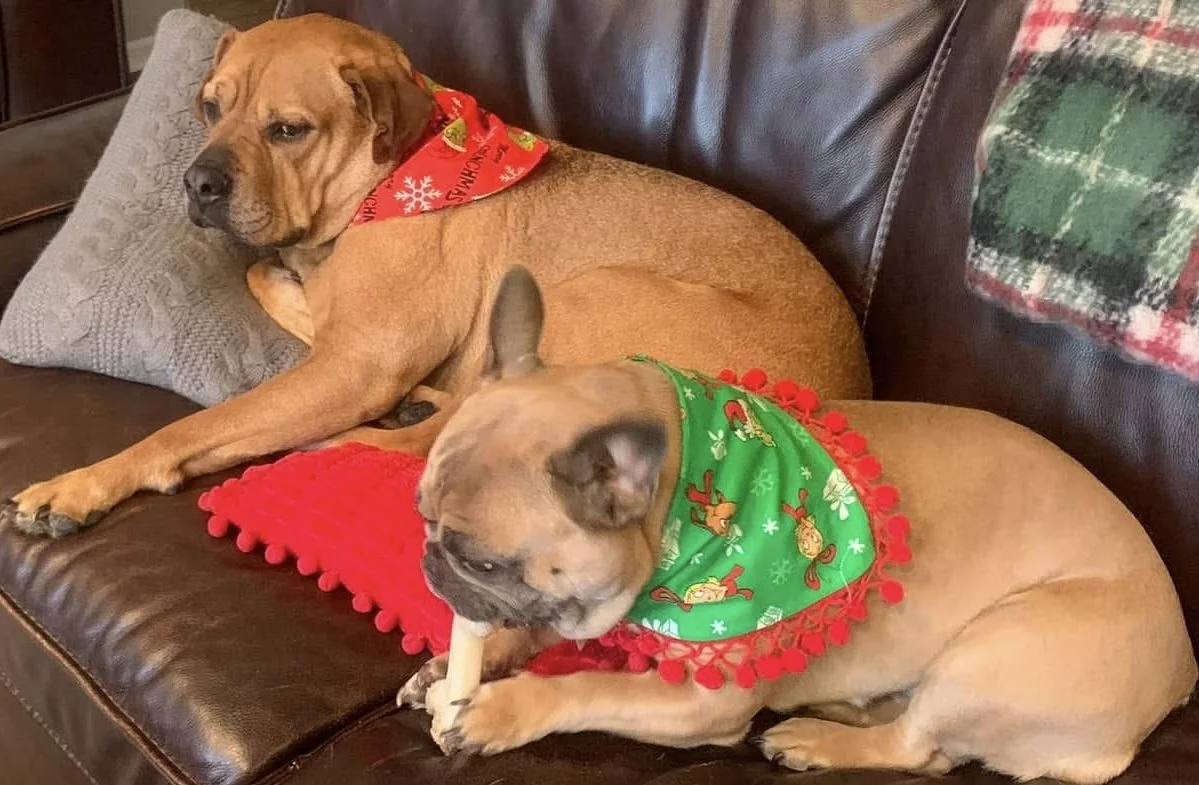 Photo Dec 07 2025, 8 42 43 PM (17).jpg