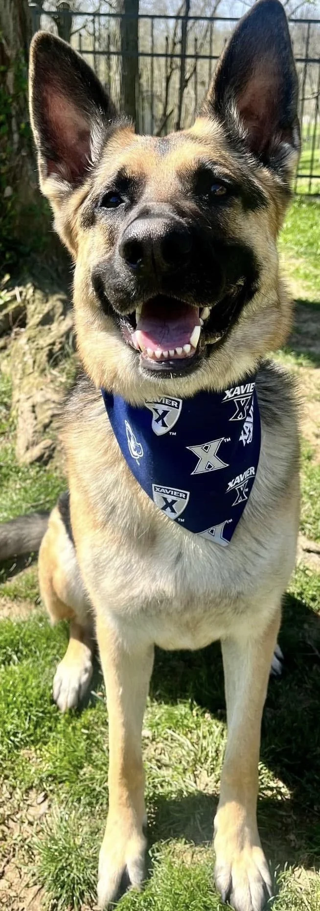 Photo Dec 08 2025, 4 47 44 PM (6).jpg