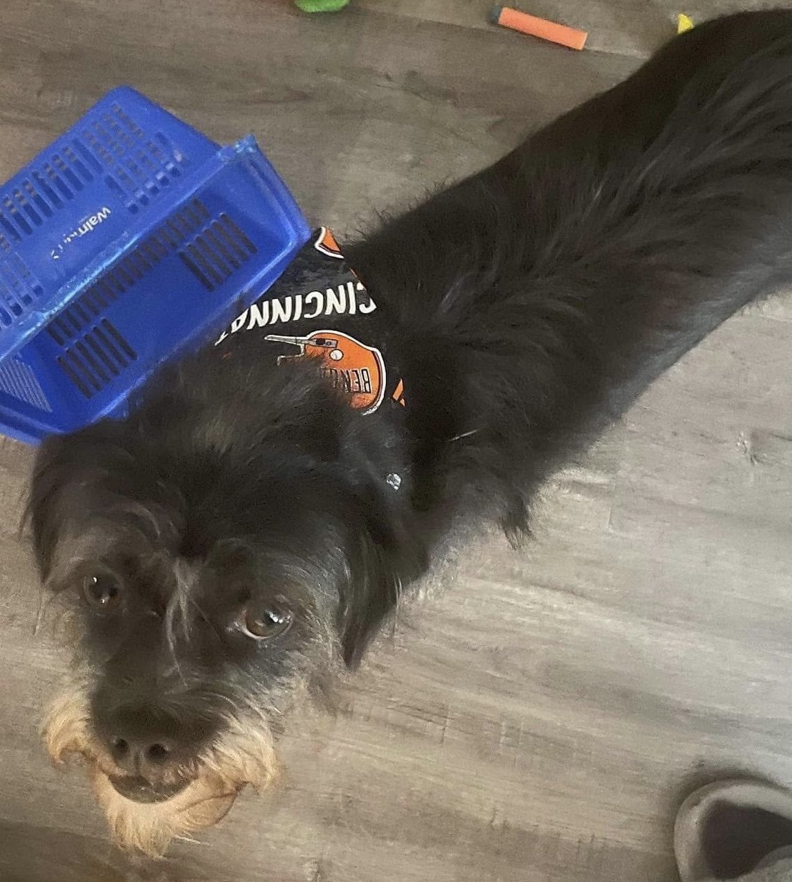 Photo Dec 07 2025, 8 42 43 PM (2).jpg