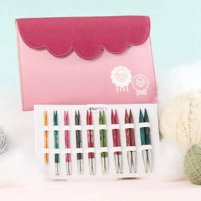 Set d'aiguilles interchangeables 13cm Dreamz Deluxe   85€