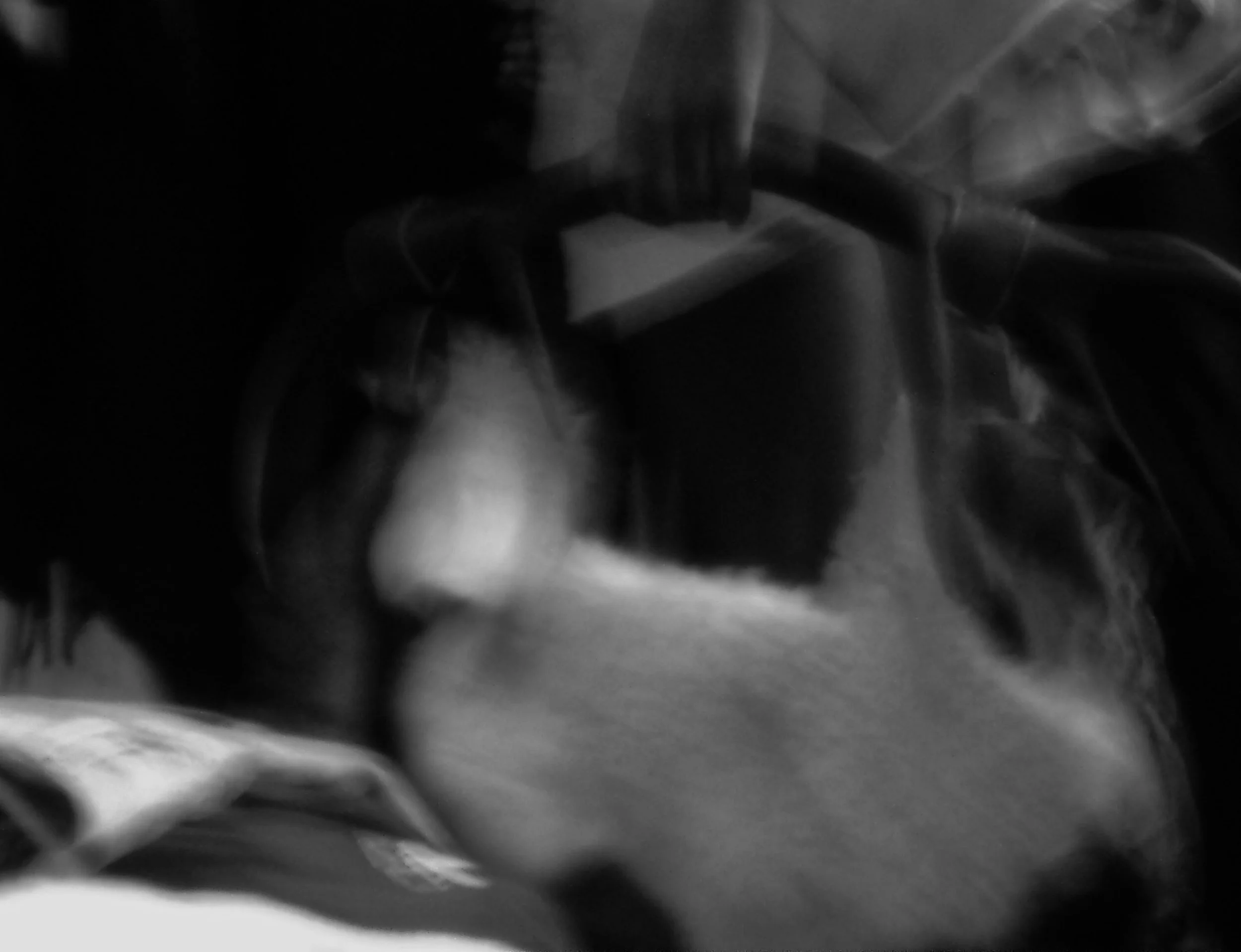 100_5384.jpg