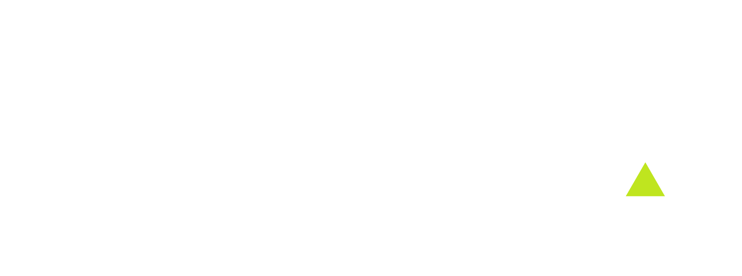 temple leadership consulting