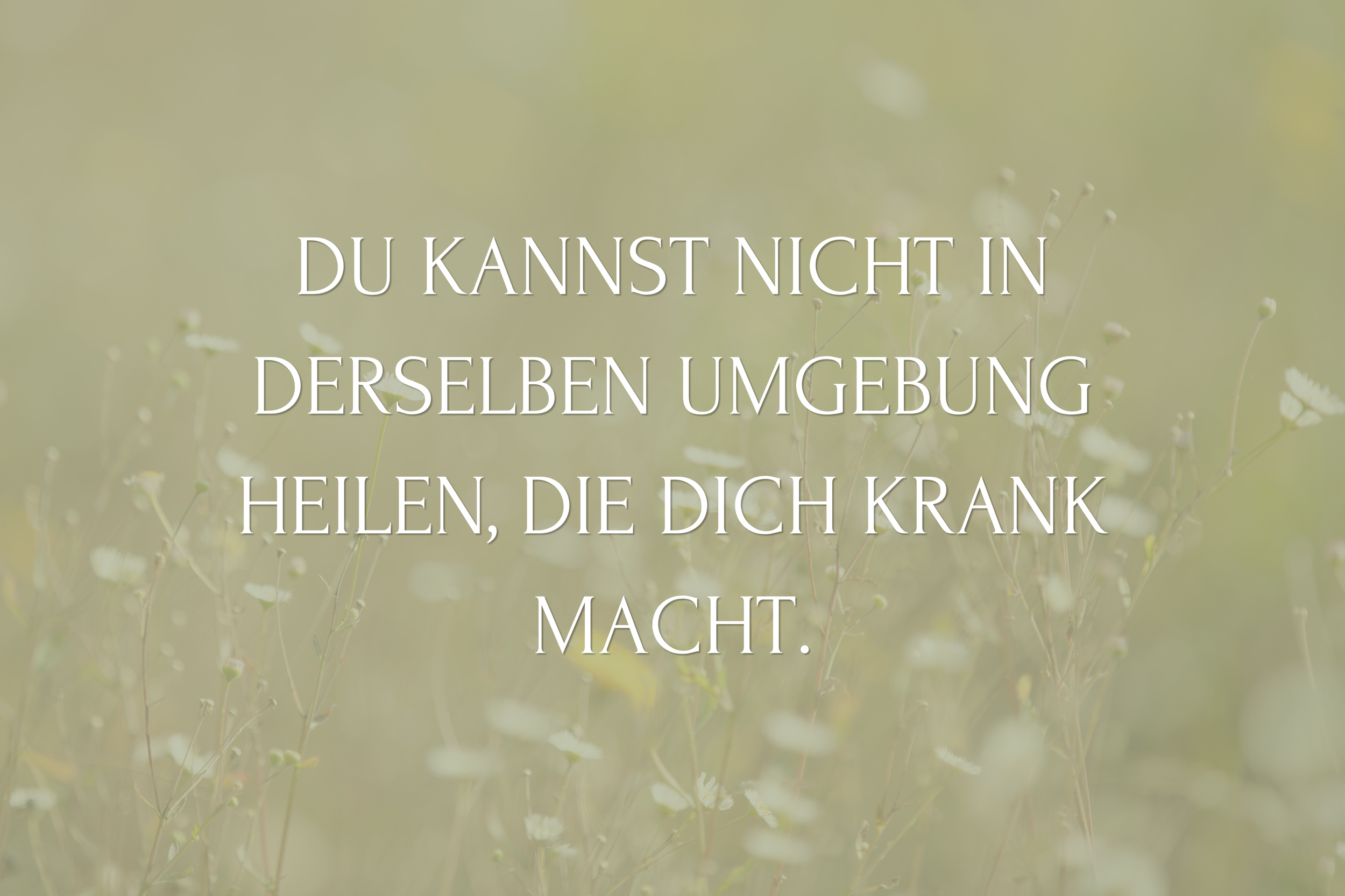 Du kannst nicht in derselben Umgebung heilen, die dich krank macht