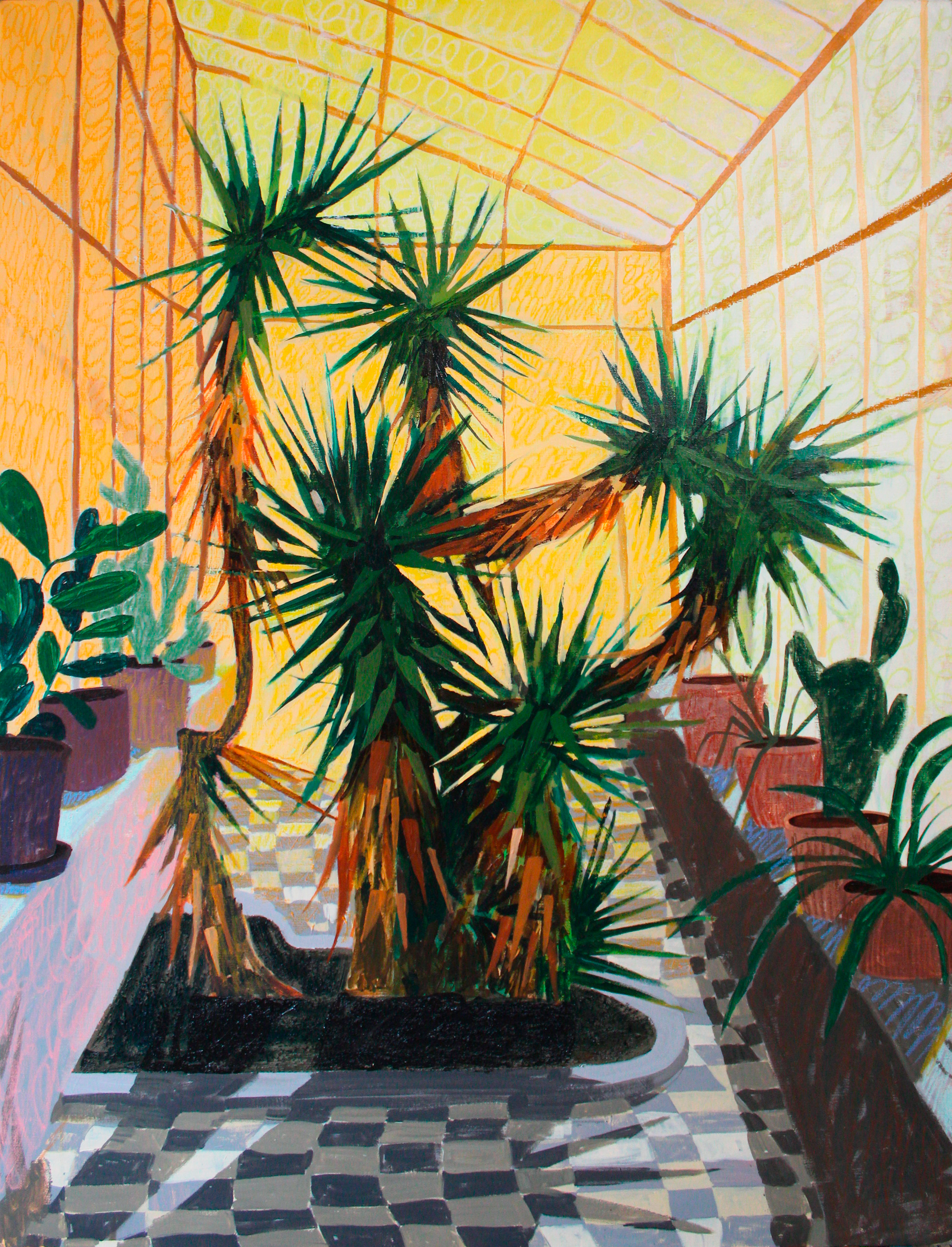 Yucca 57x47
