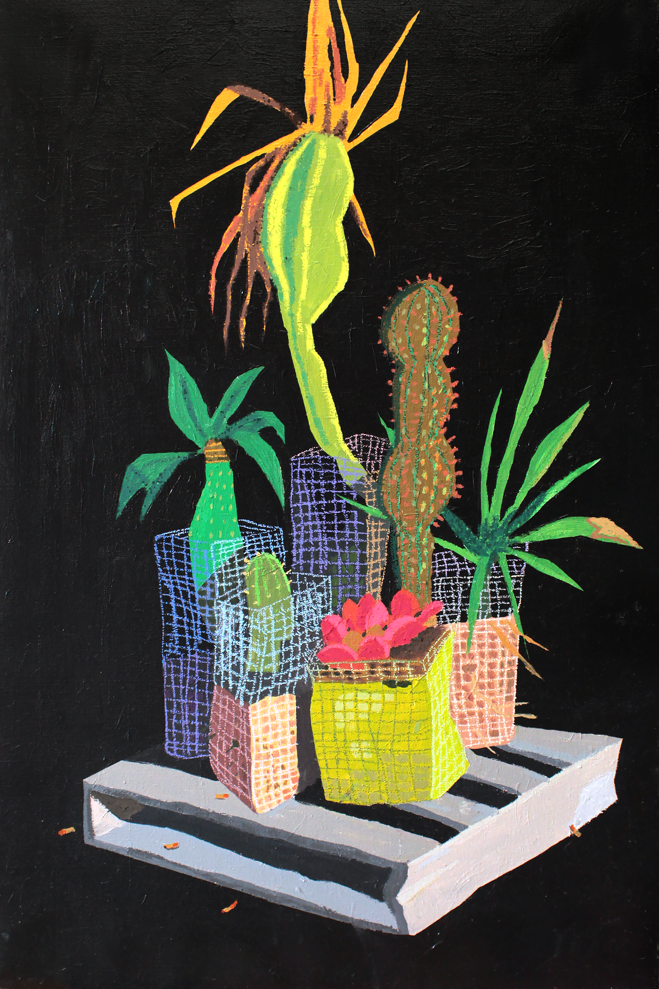 Night Gallery Plants
