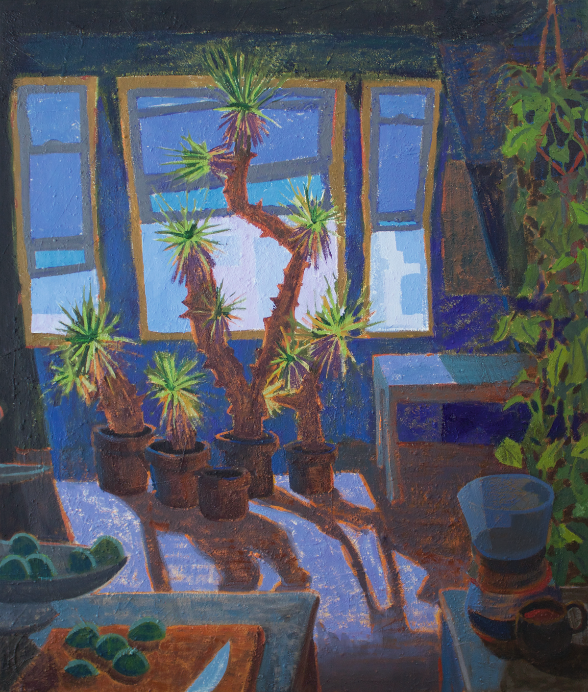 Stolen Joshua Trees
