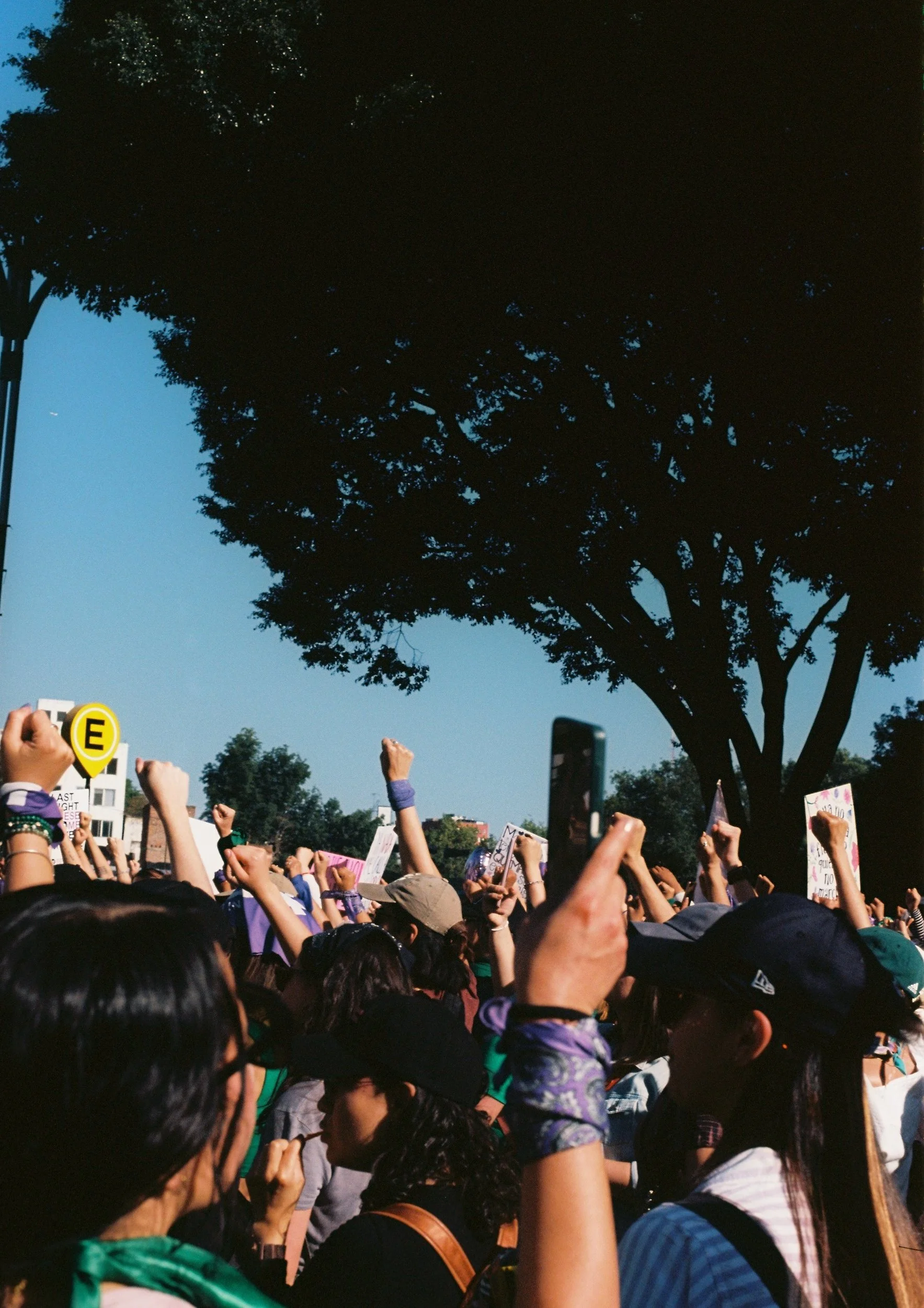 CarlaSerra003816-R1-065.jpg