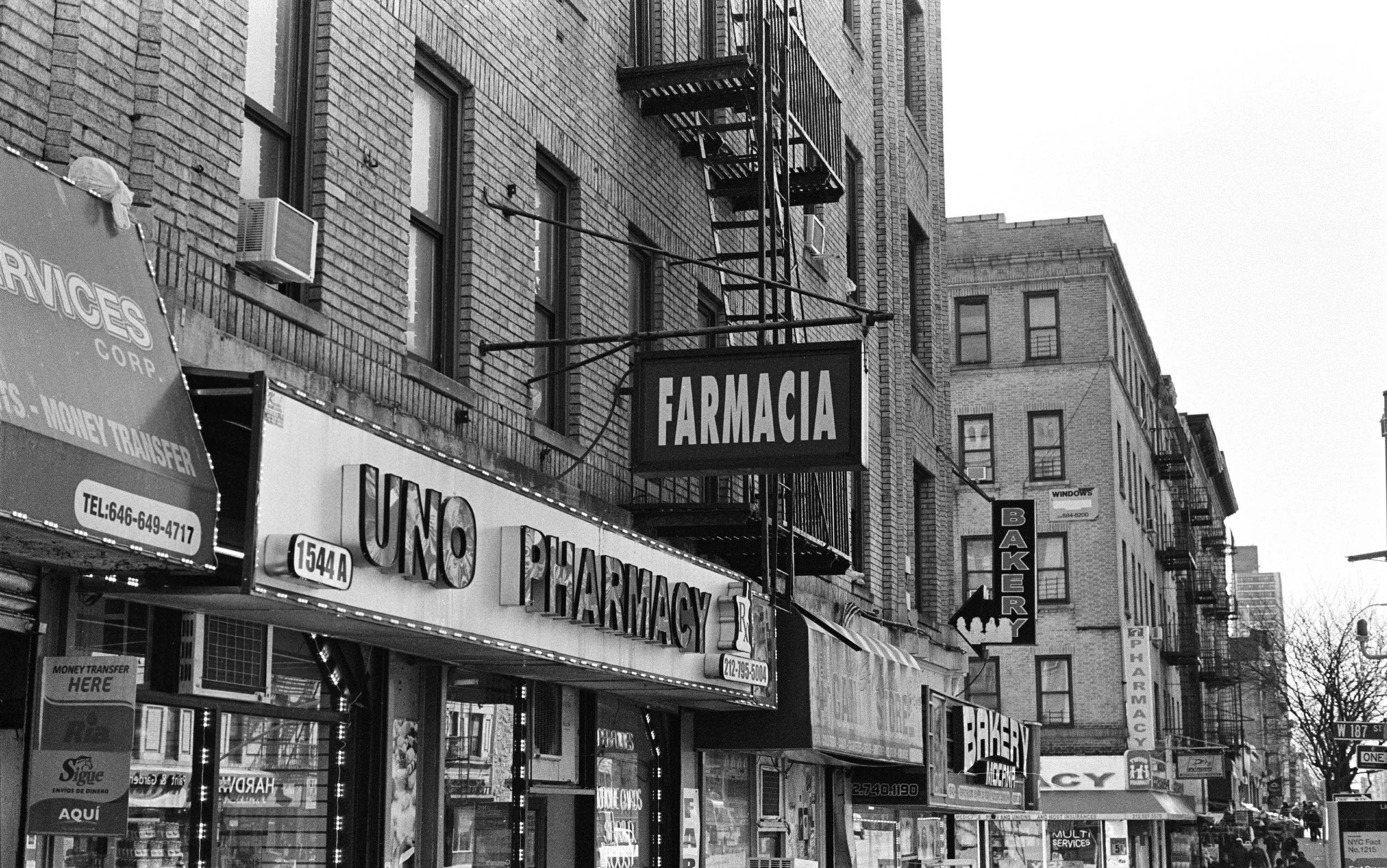 ny54_.jpg