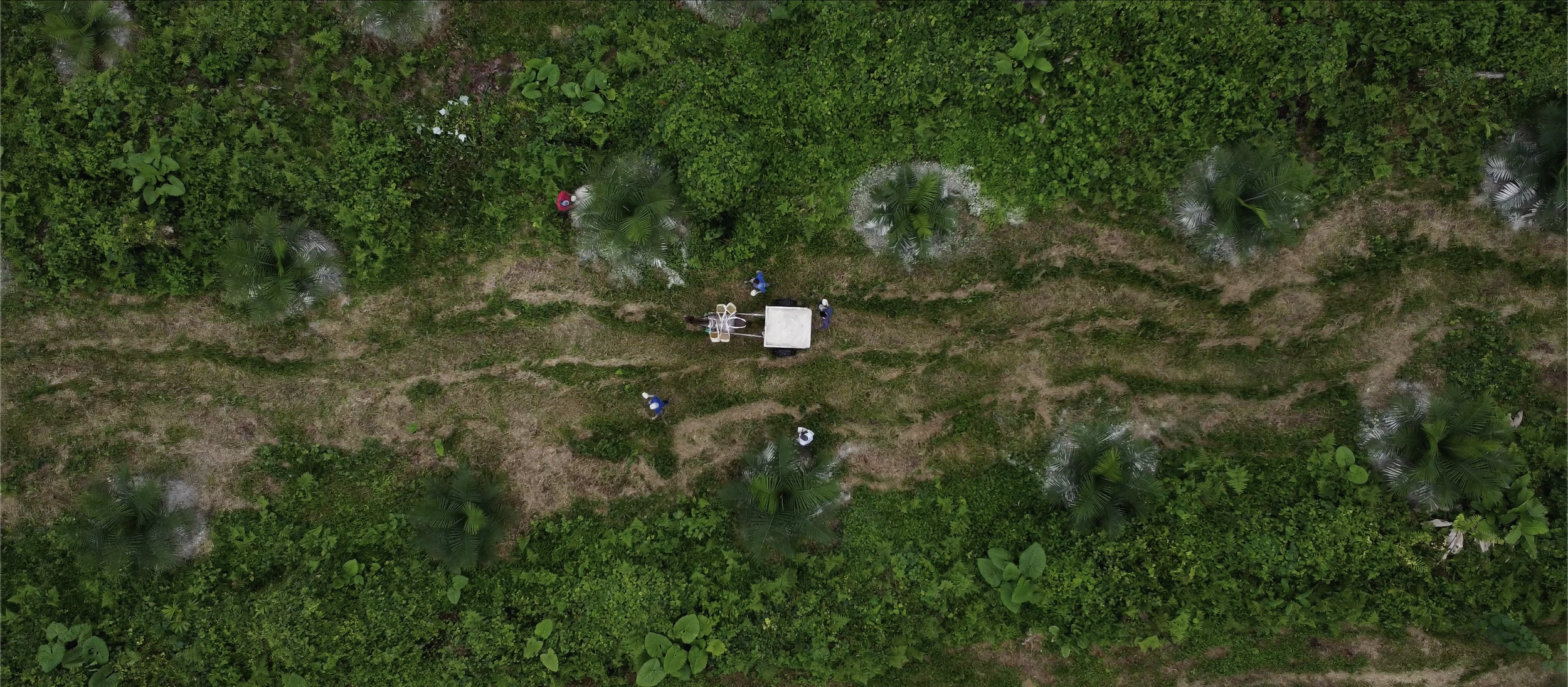 El Campo - Director/DP