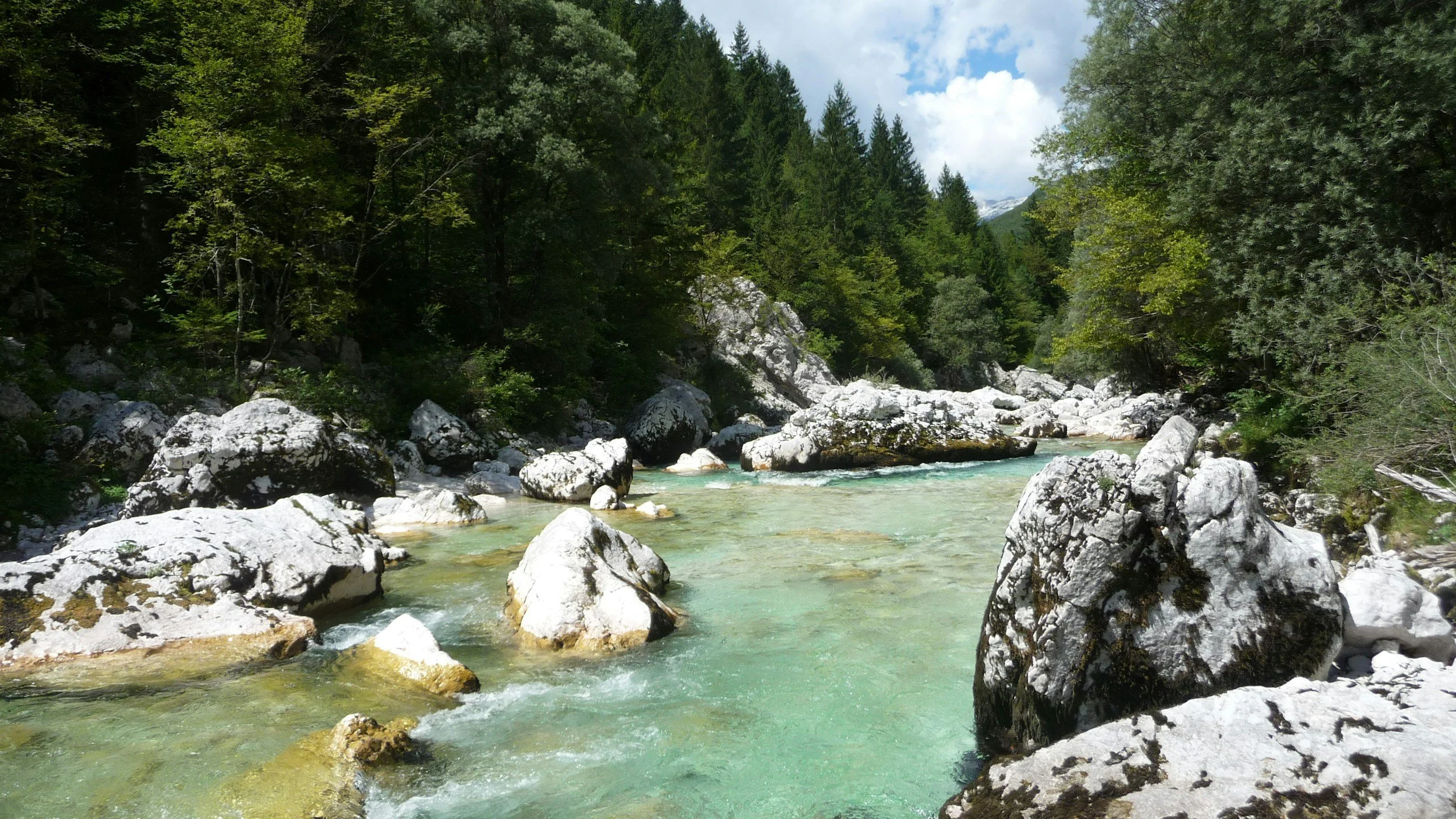 A mountain river flowing through a forested landscape with large rocks in the water and coniferous trees on both sides under a partly cloudy sky.